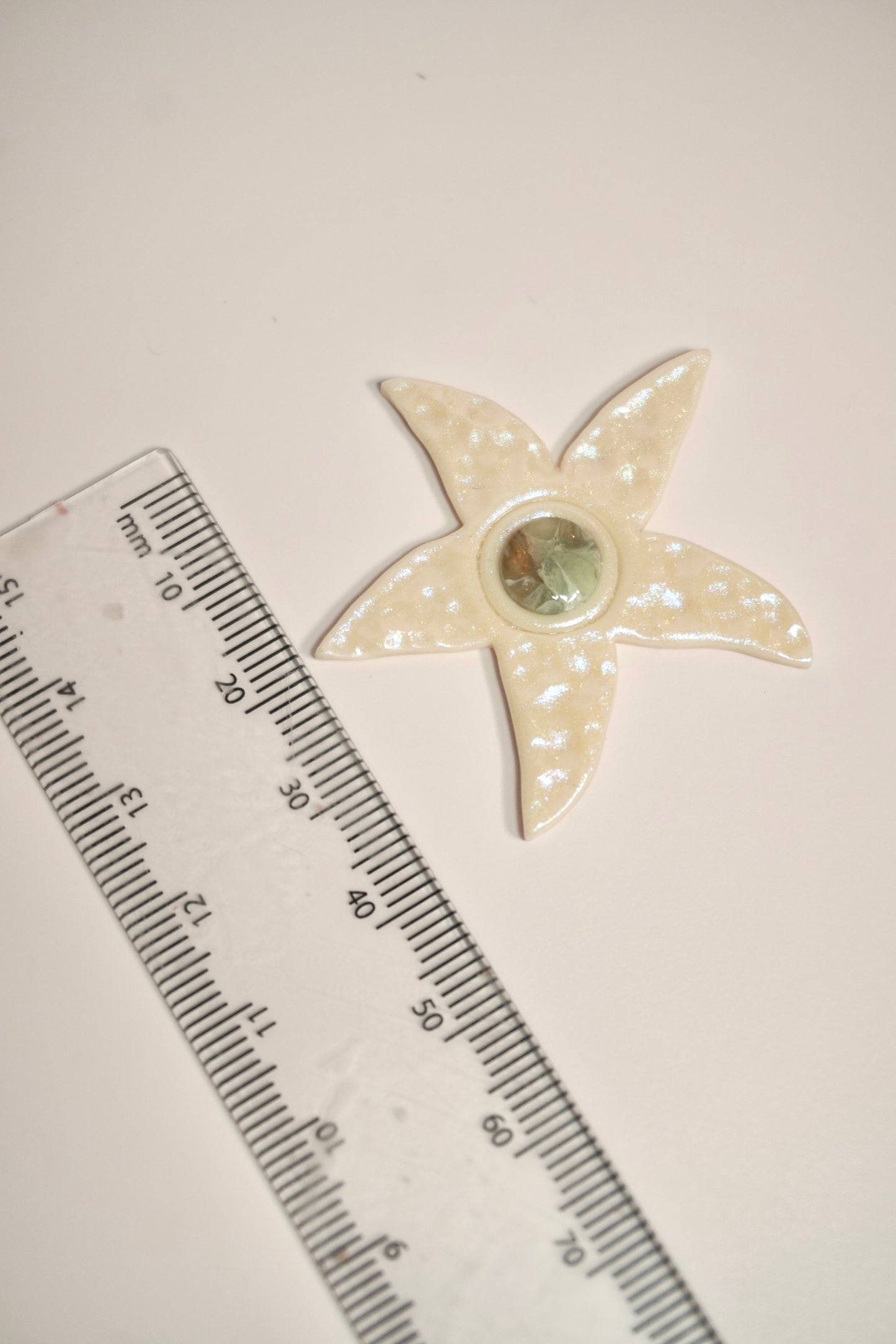 Starfish Organic 4 (bezel style)