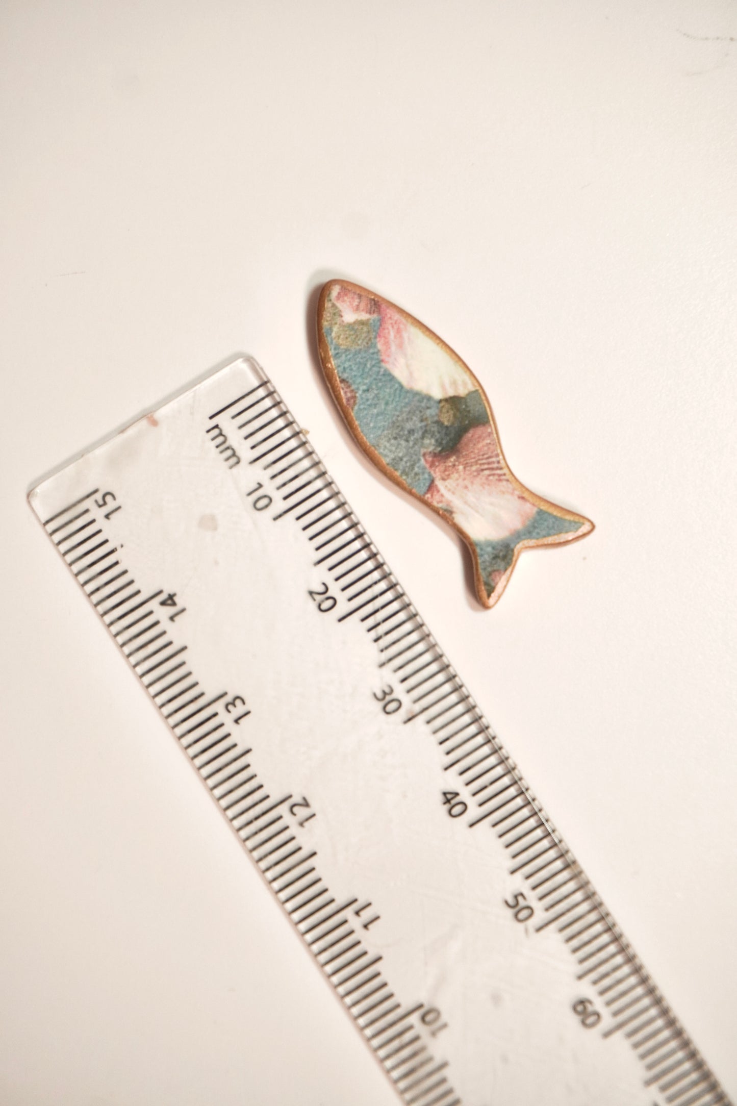 Organic small fish 2