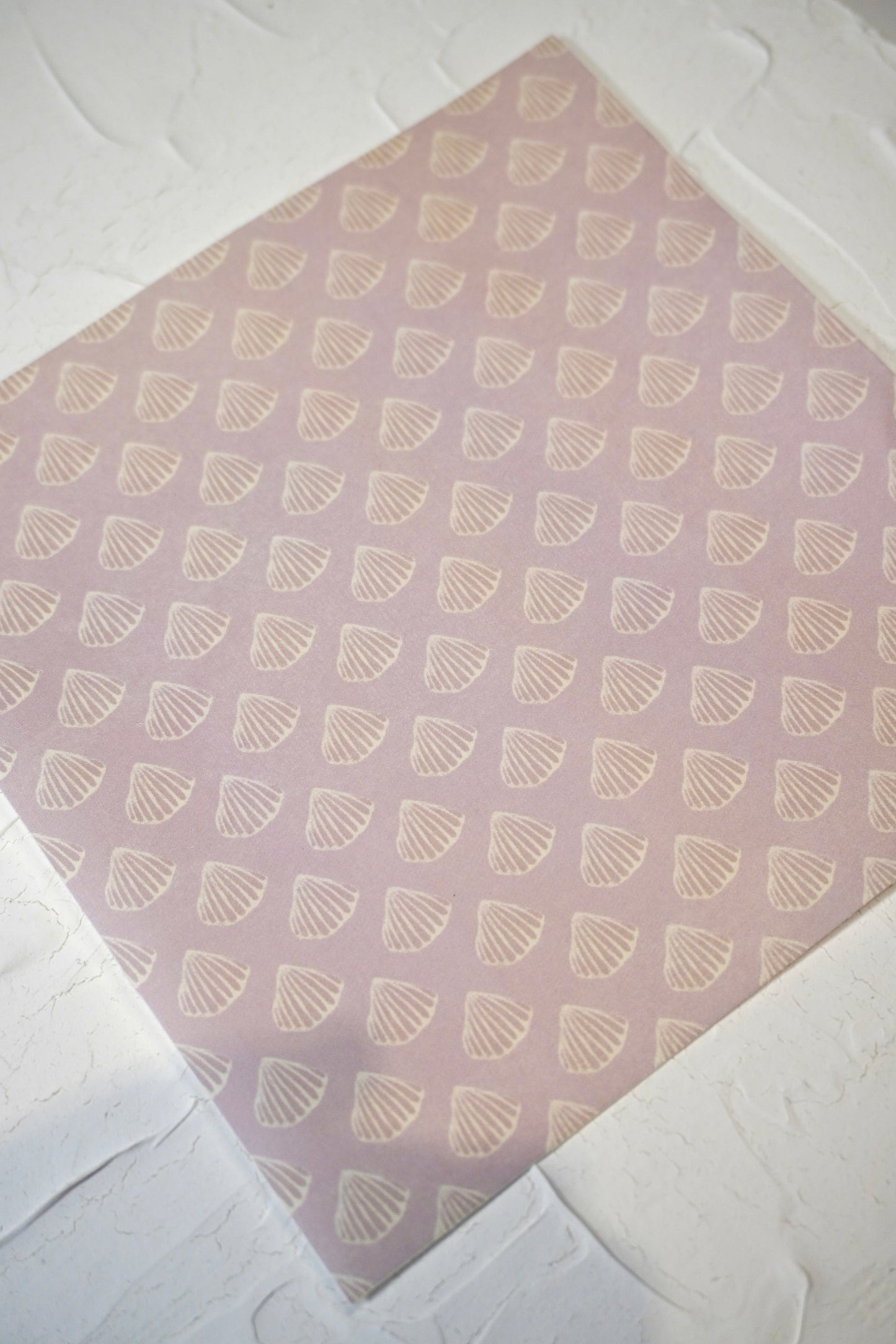 Shells 1