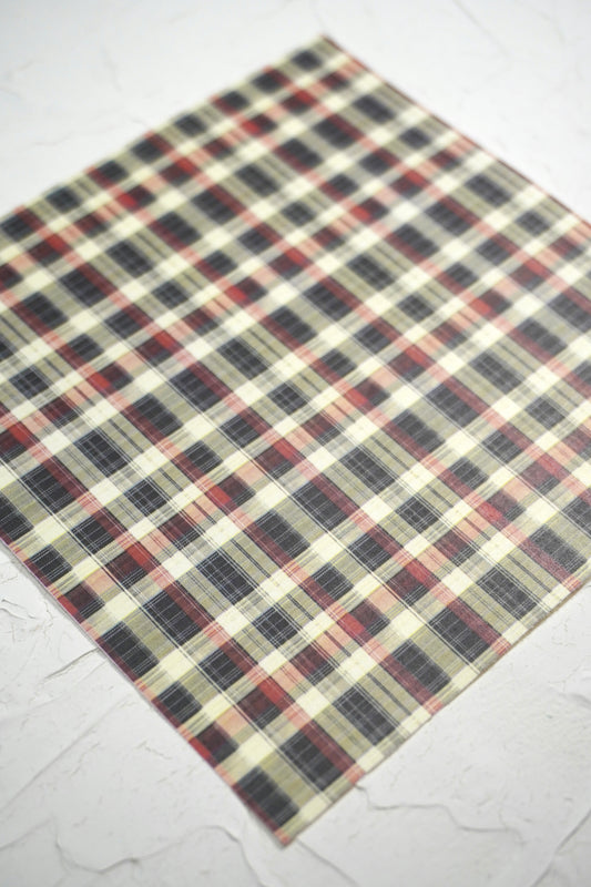 Winter plaid 1