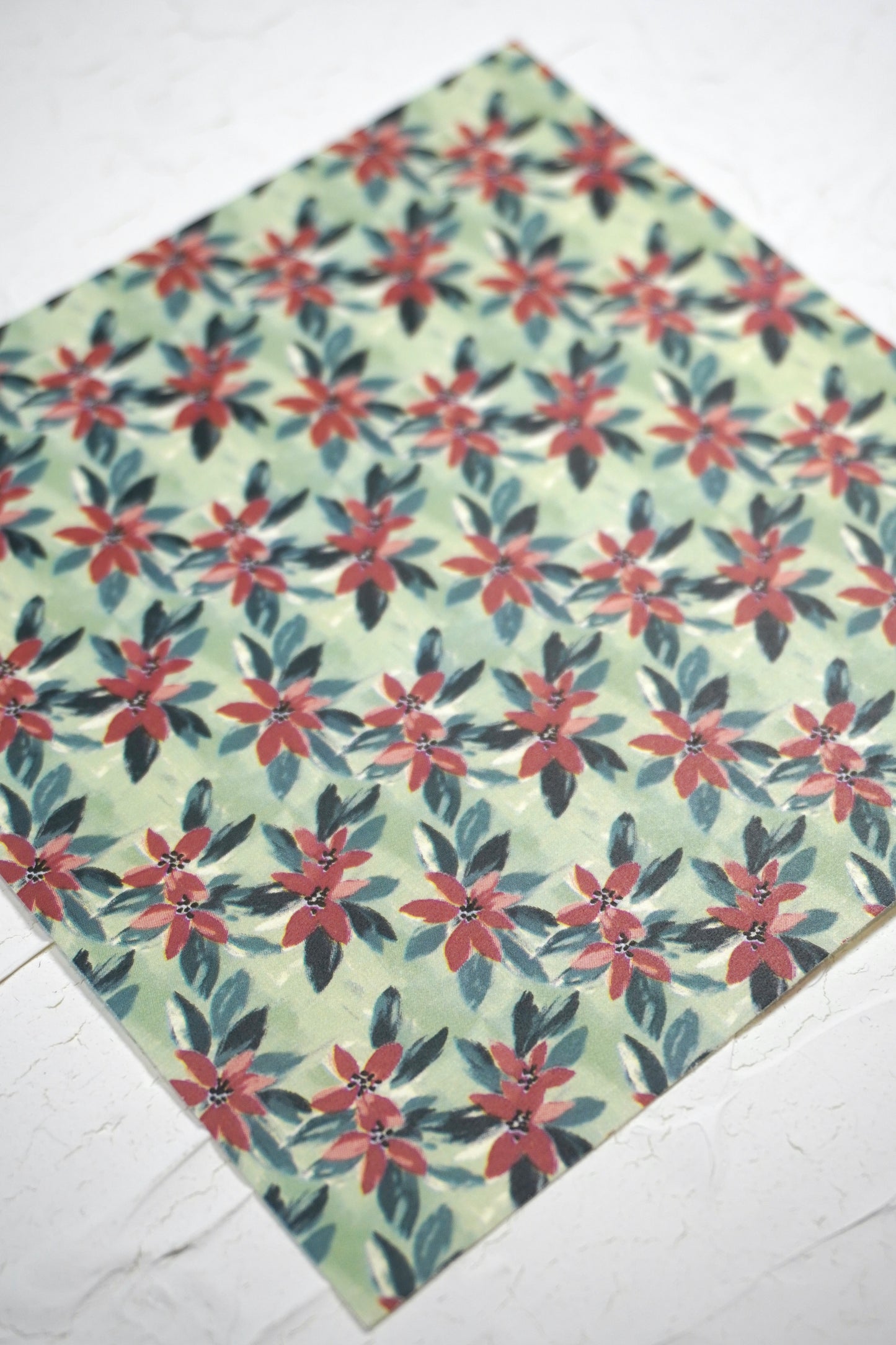 Poinsettia