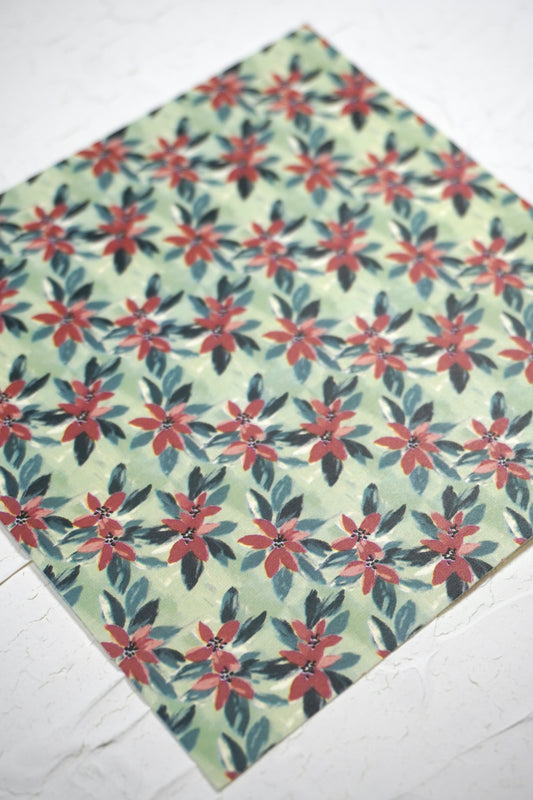 Poinsettia