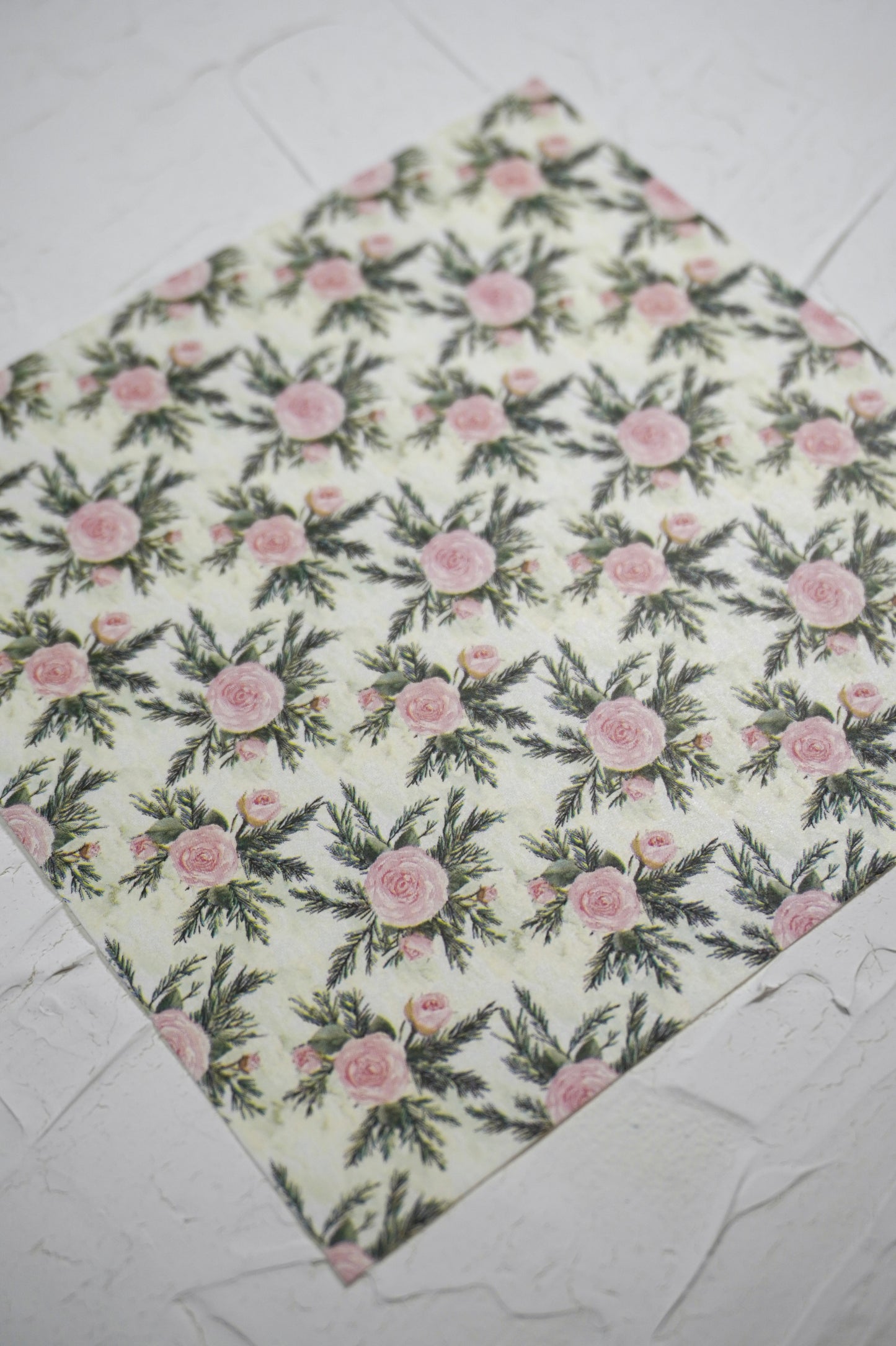 Christmas roses