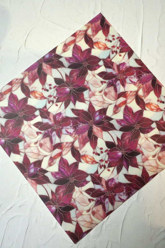 Poinsettia 1