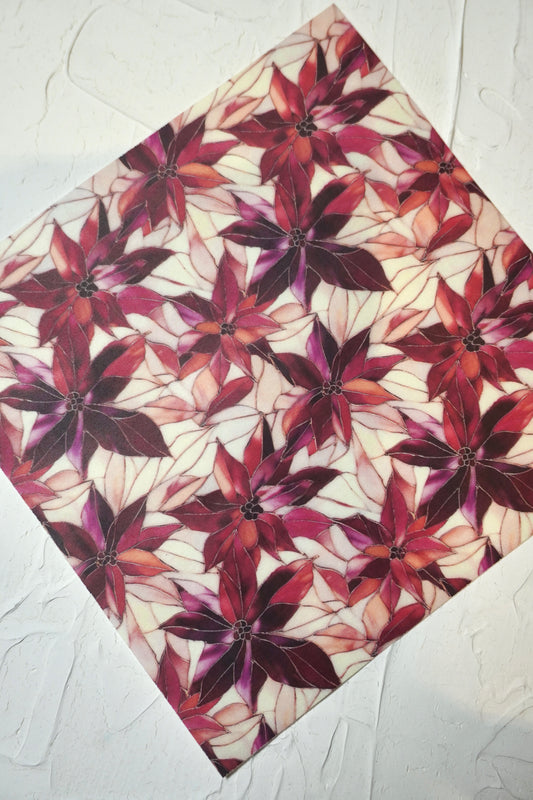 Poinsettia 2
