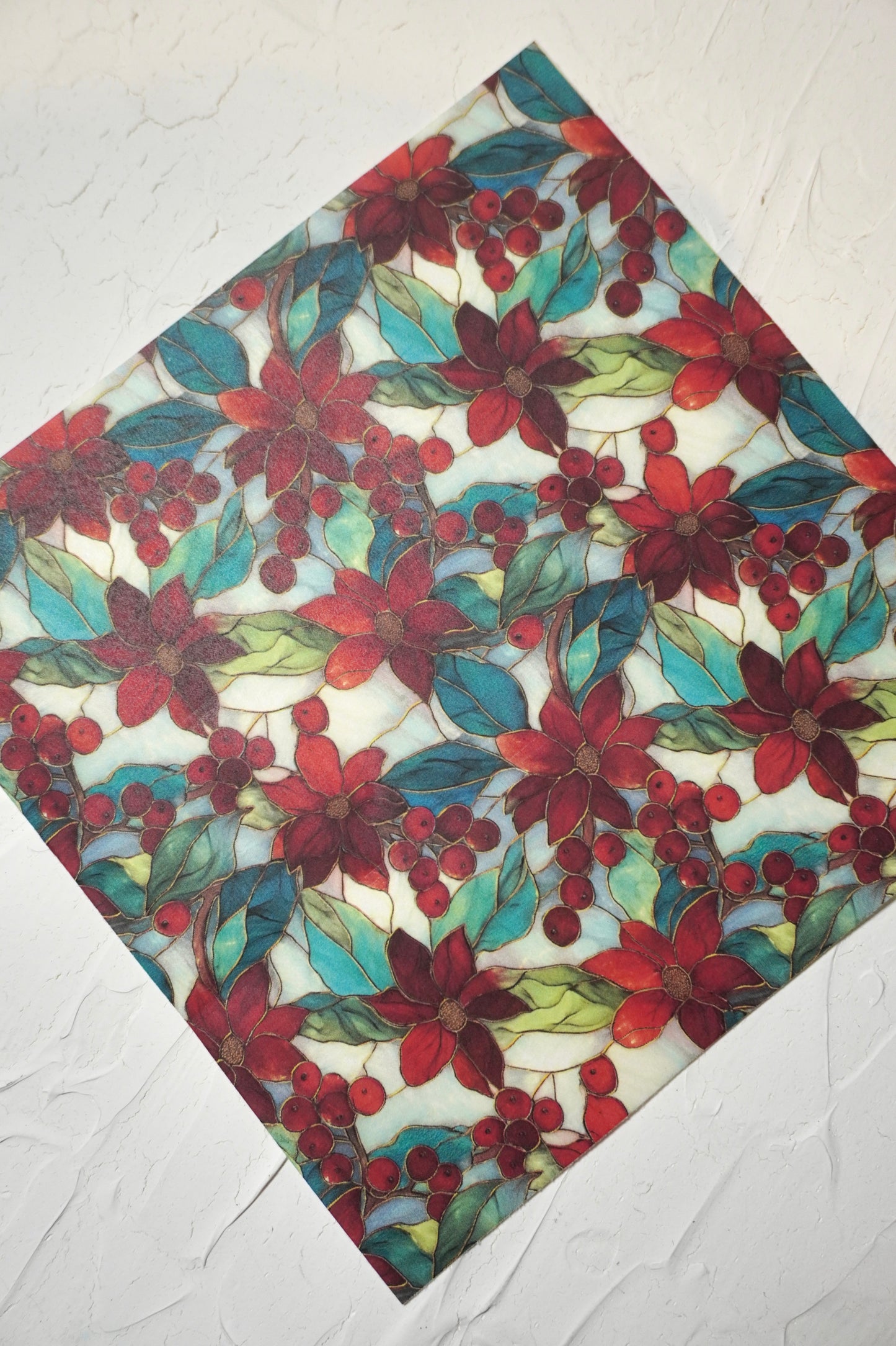 Poinsettia 3