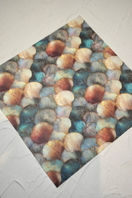 Shells Pearly - fan pattern