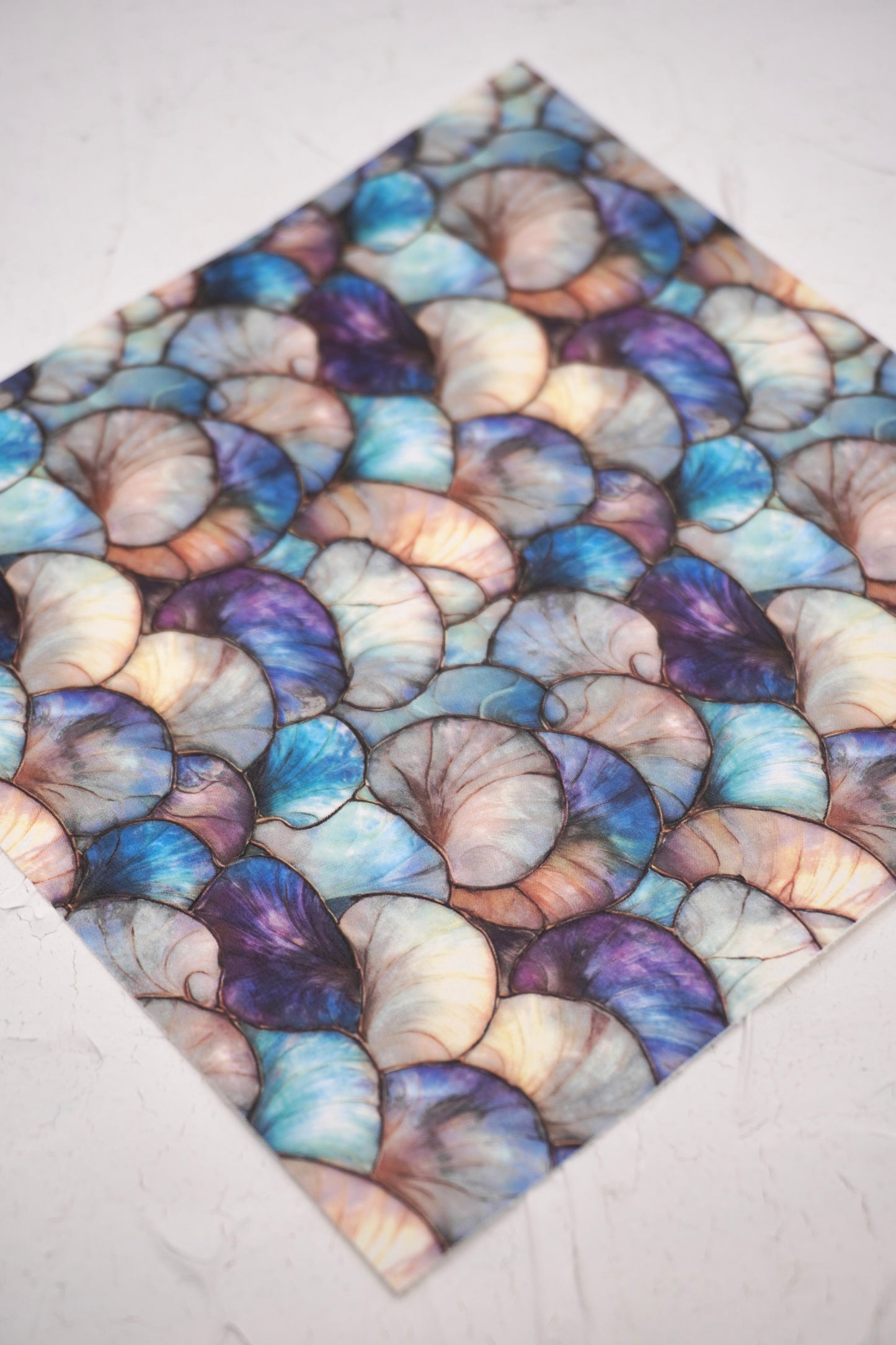 Shells Pearly 2