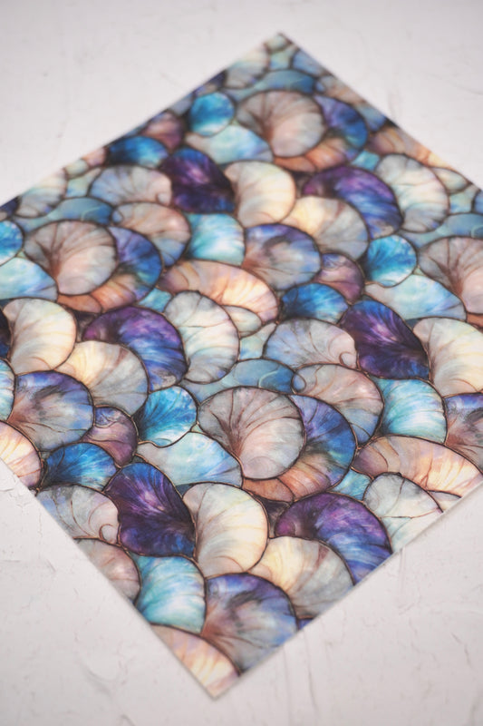 Shells Pearly 2