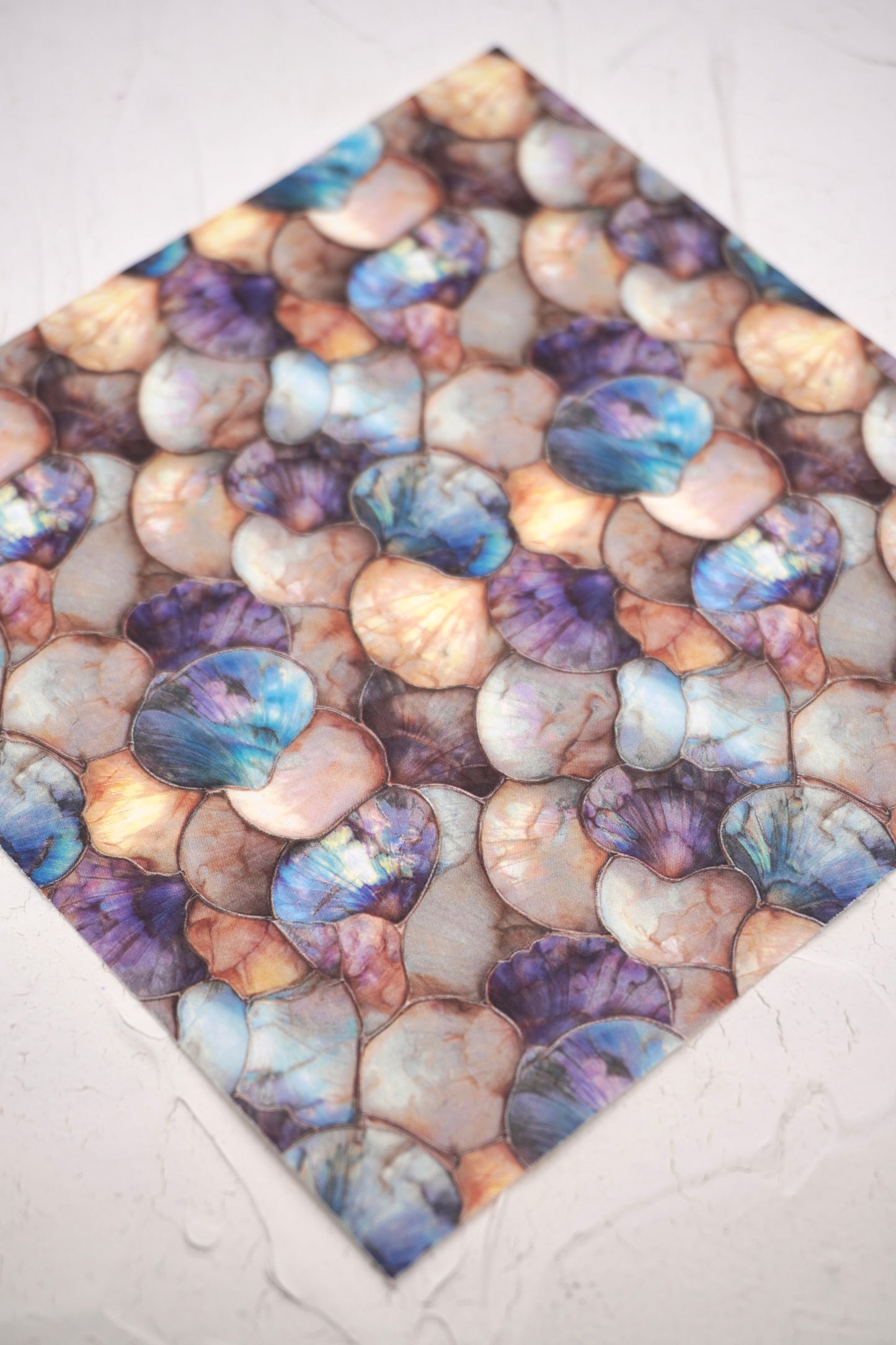 Shells Pearly 3