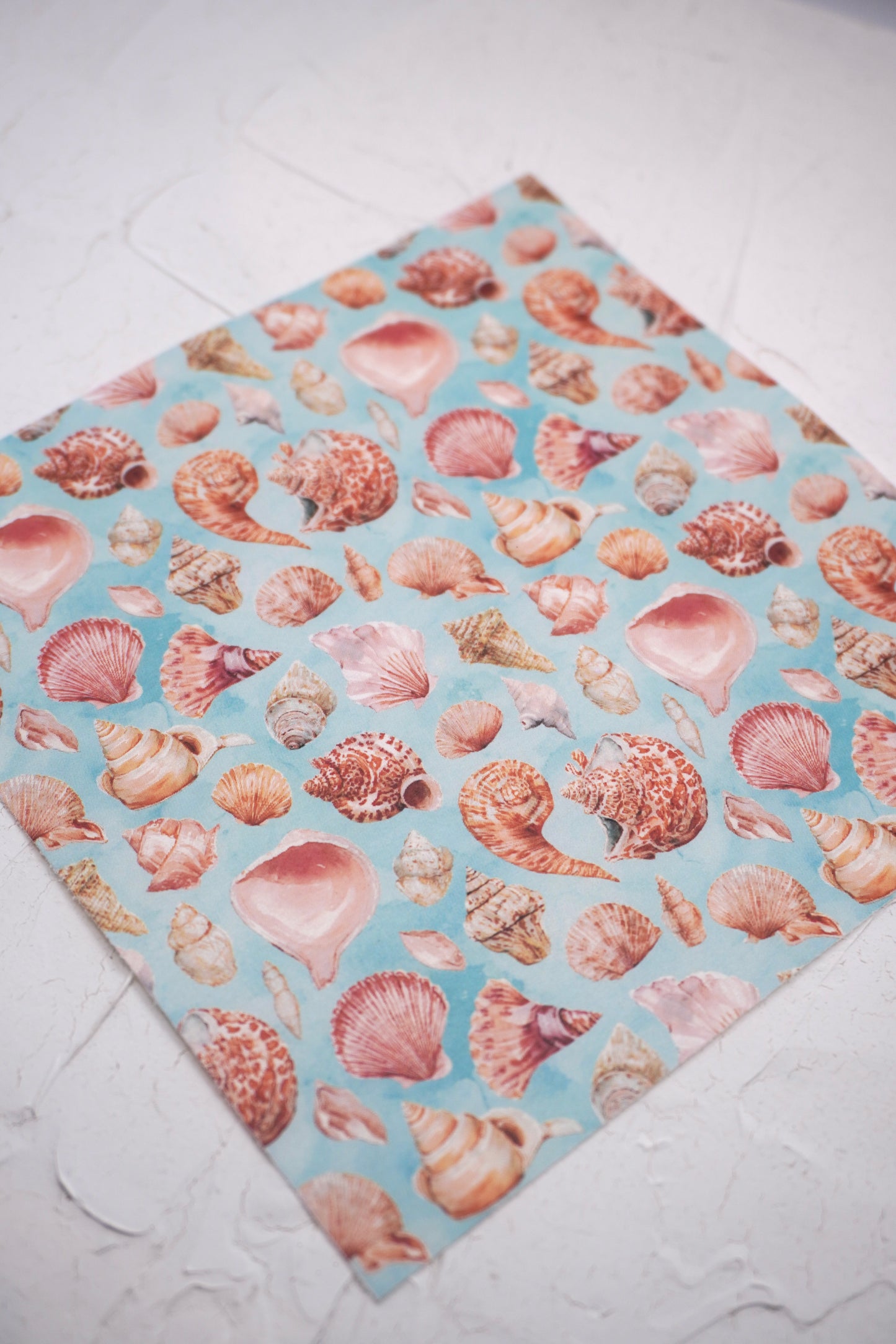 Shells 3