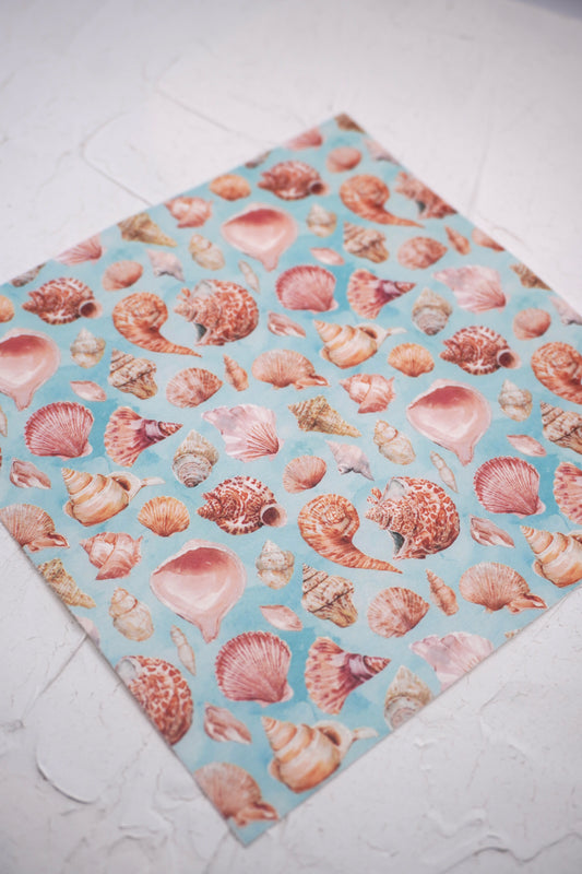 Shells 3