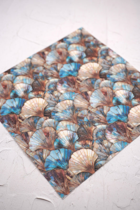 Stained Glass 54 - shells style