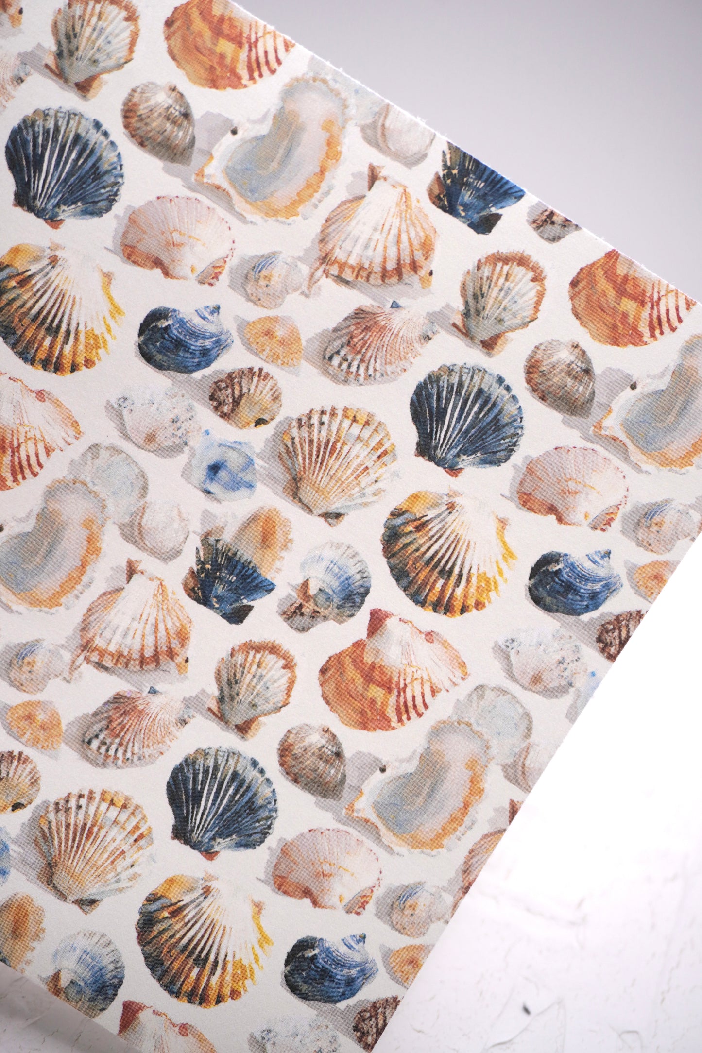 Shells 8