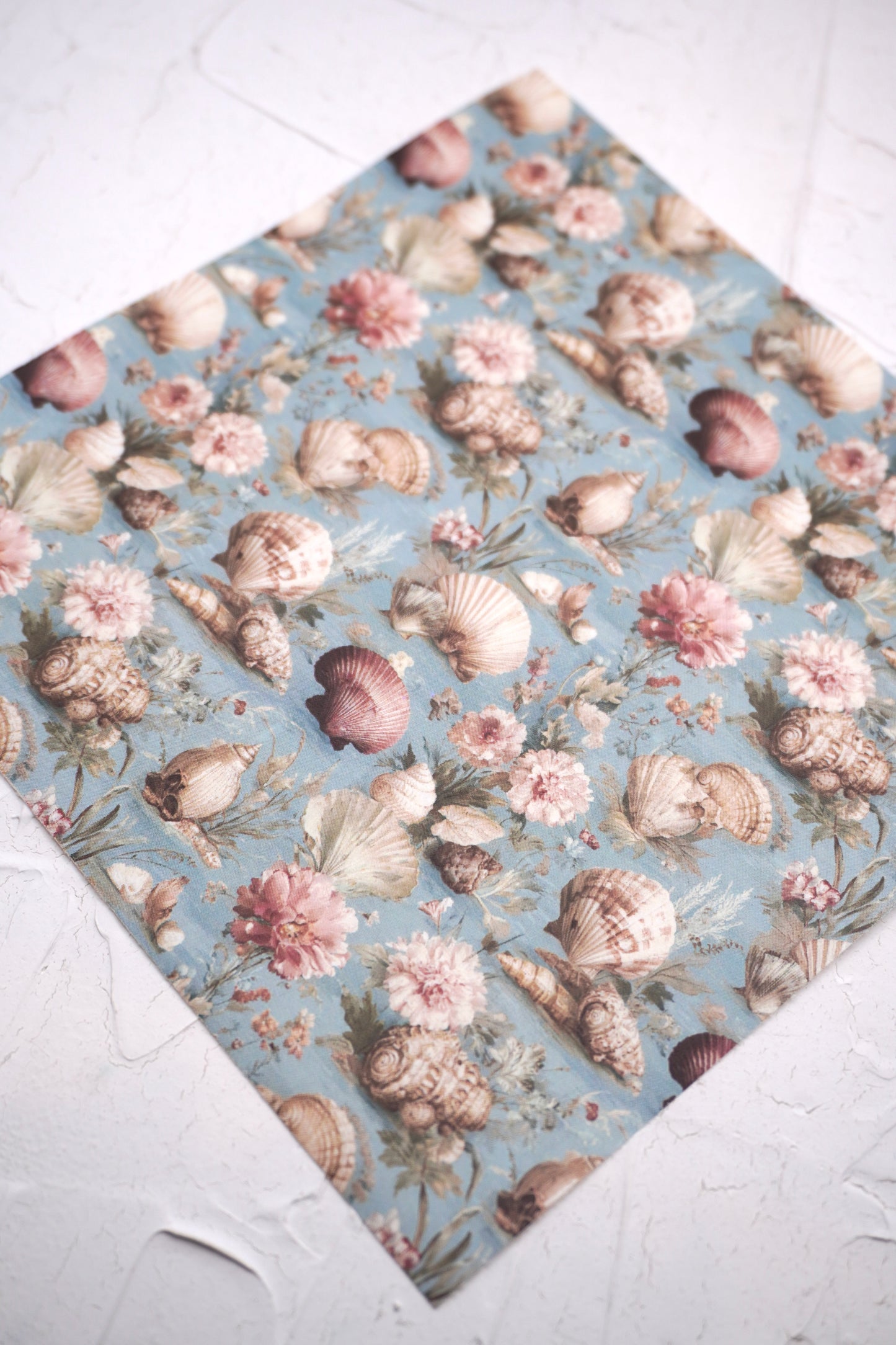 Vintage Shell 3