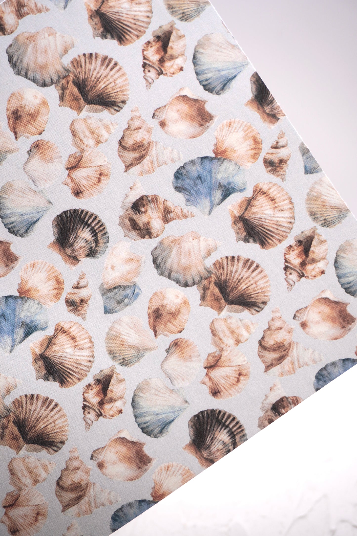 Shells 9