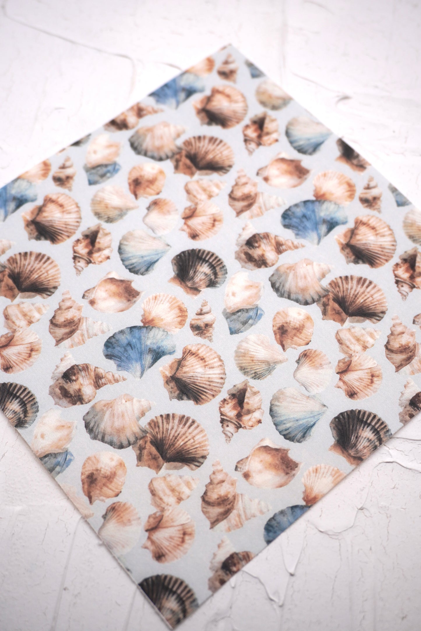 Shells 9