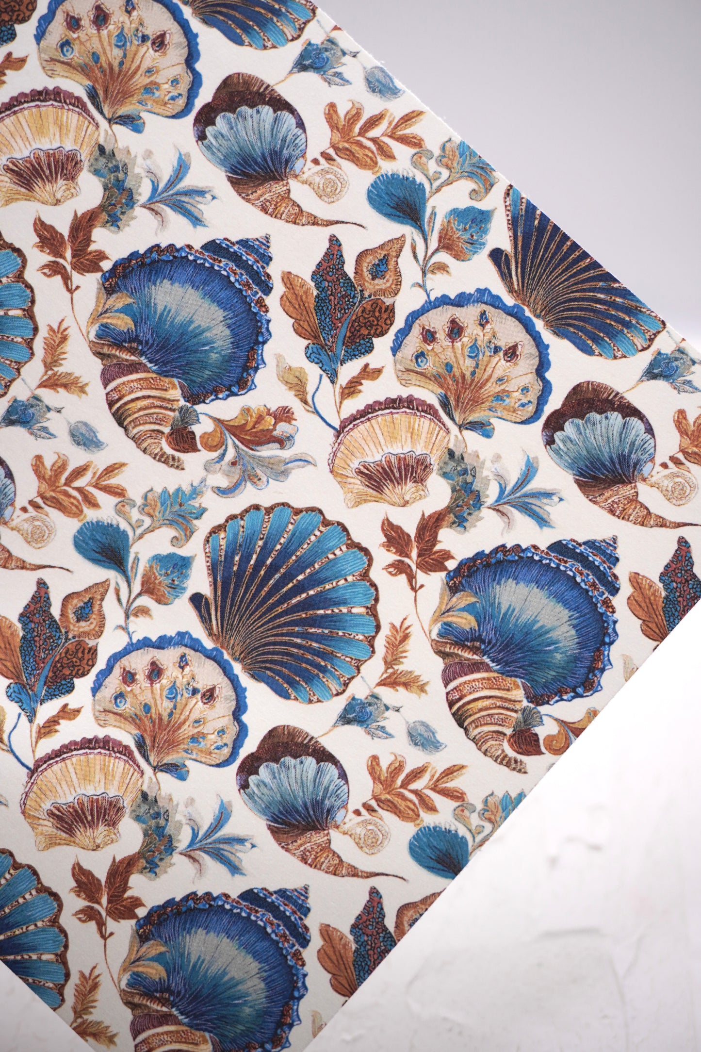 Vintage Shell 6