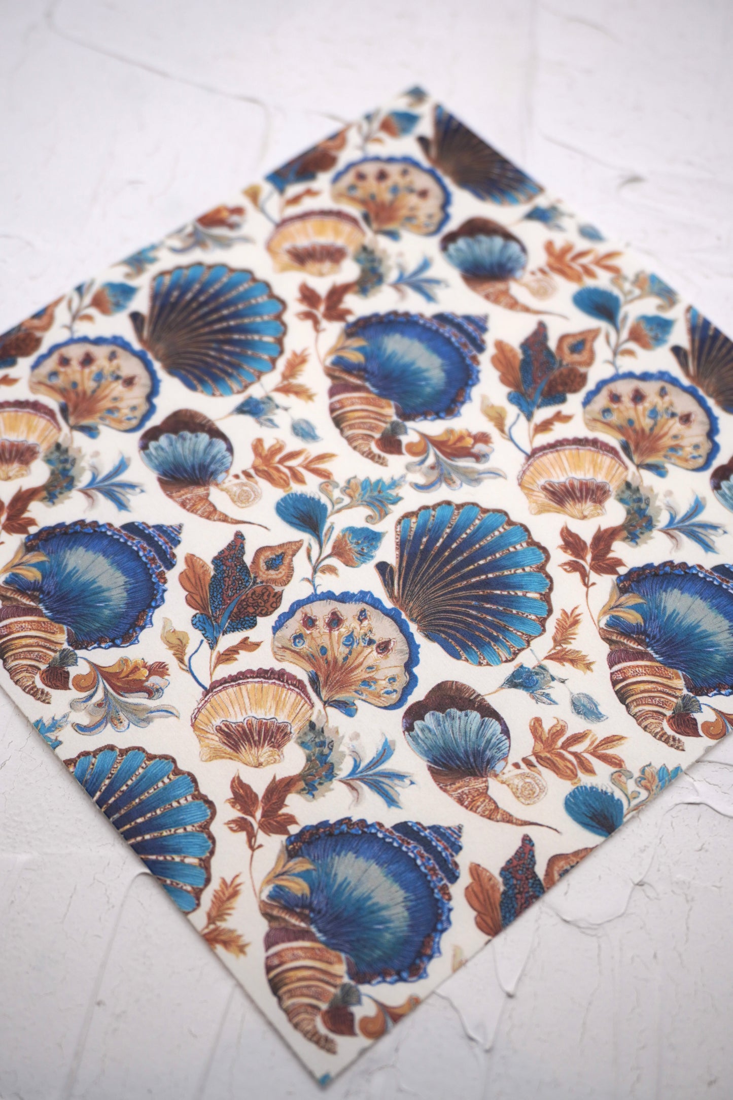 Vintage Shell 6