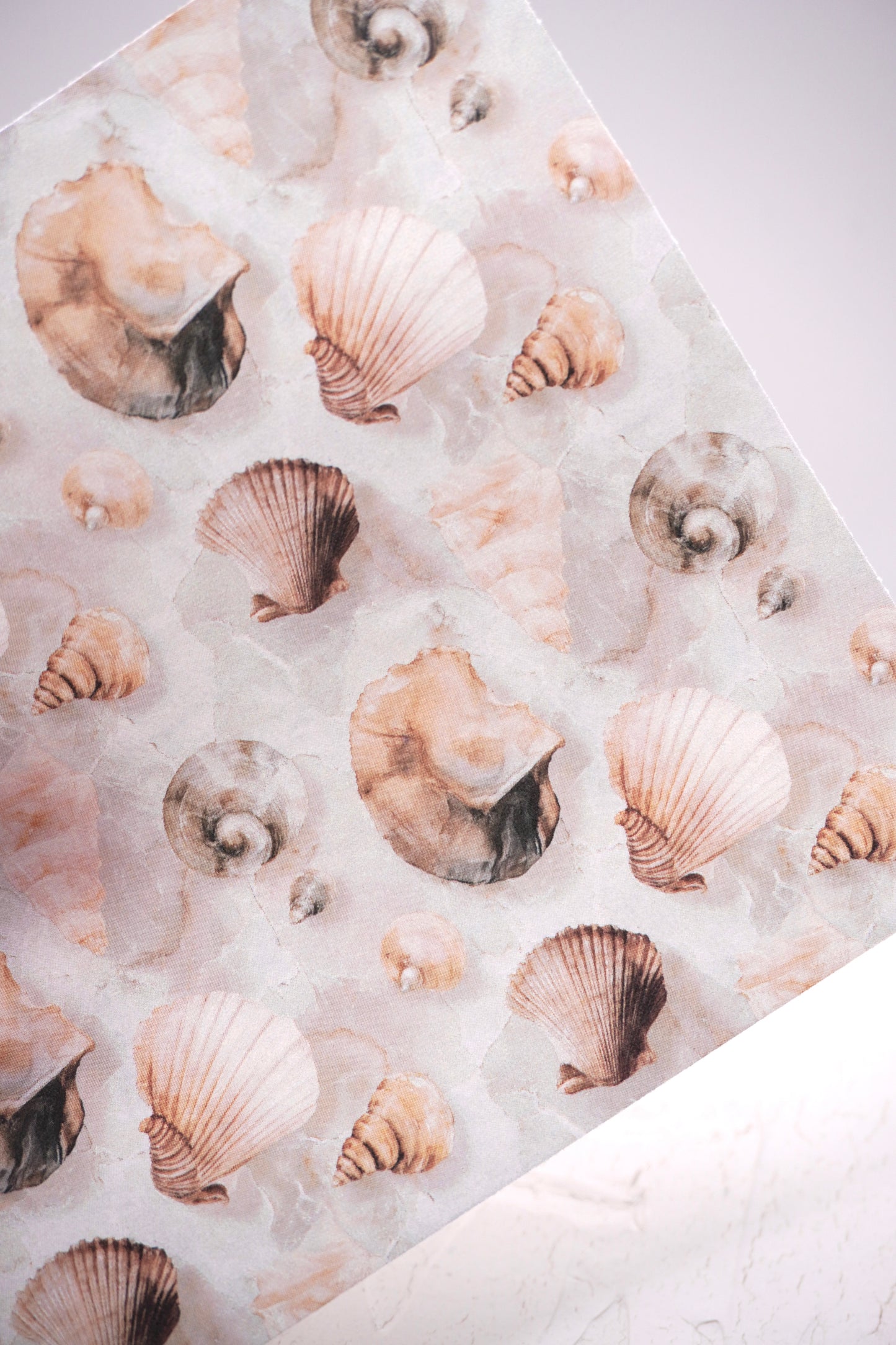 Marble Shells 1