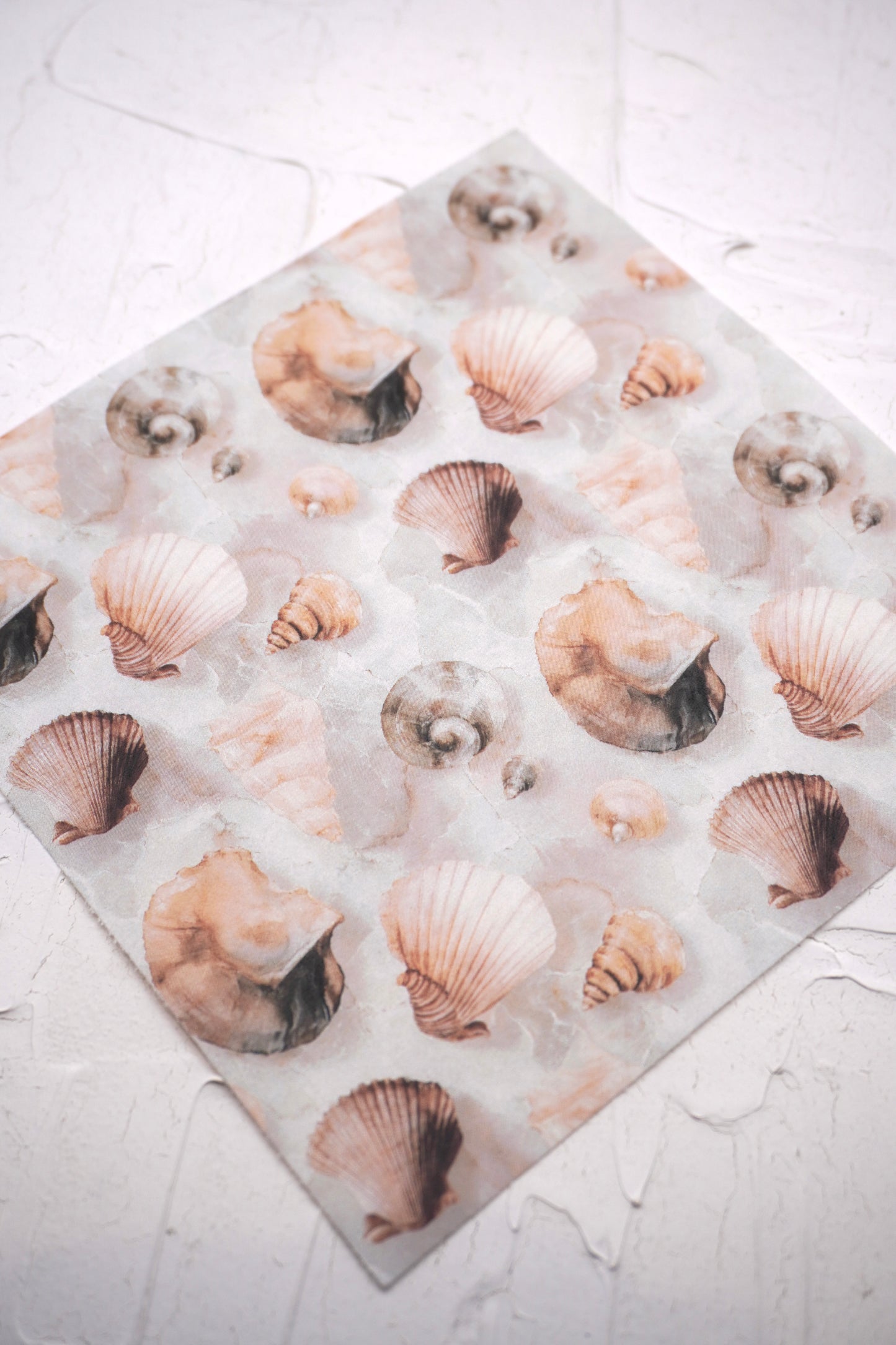 Marble Shells 1