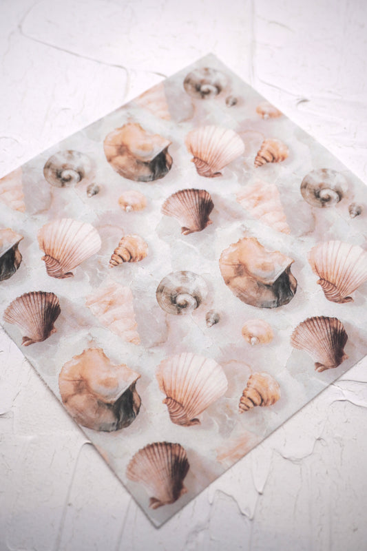 Marble Shells 1