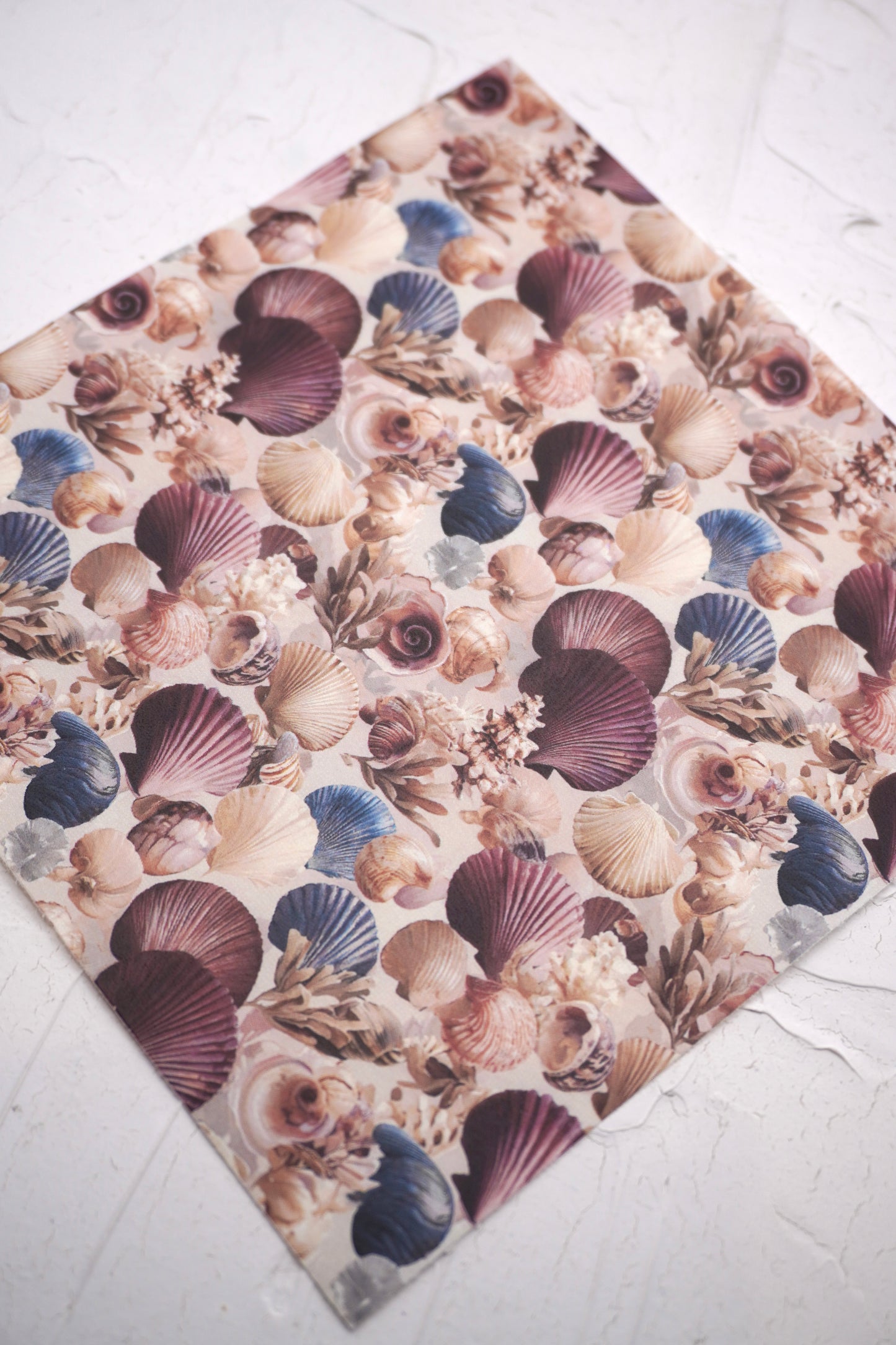 Vintage Shell 8