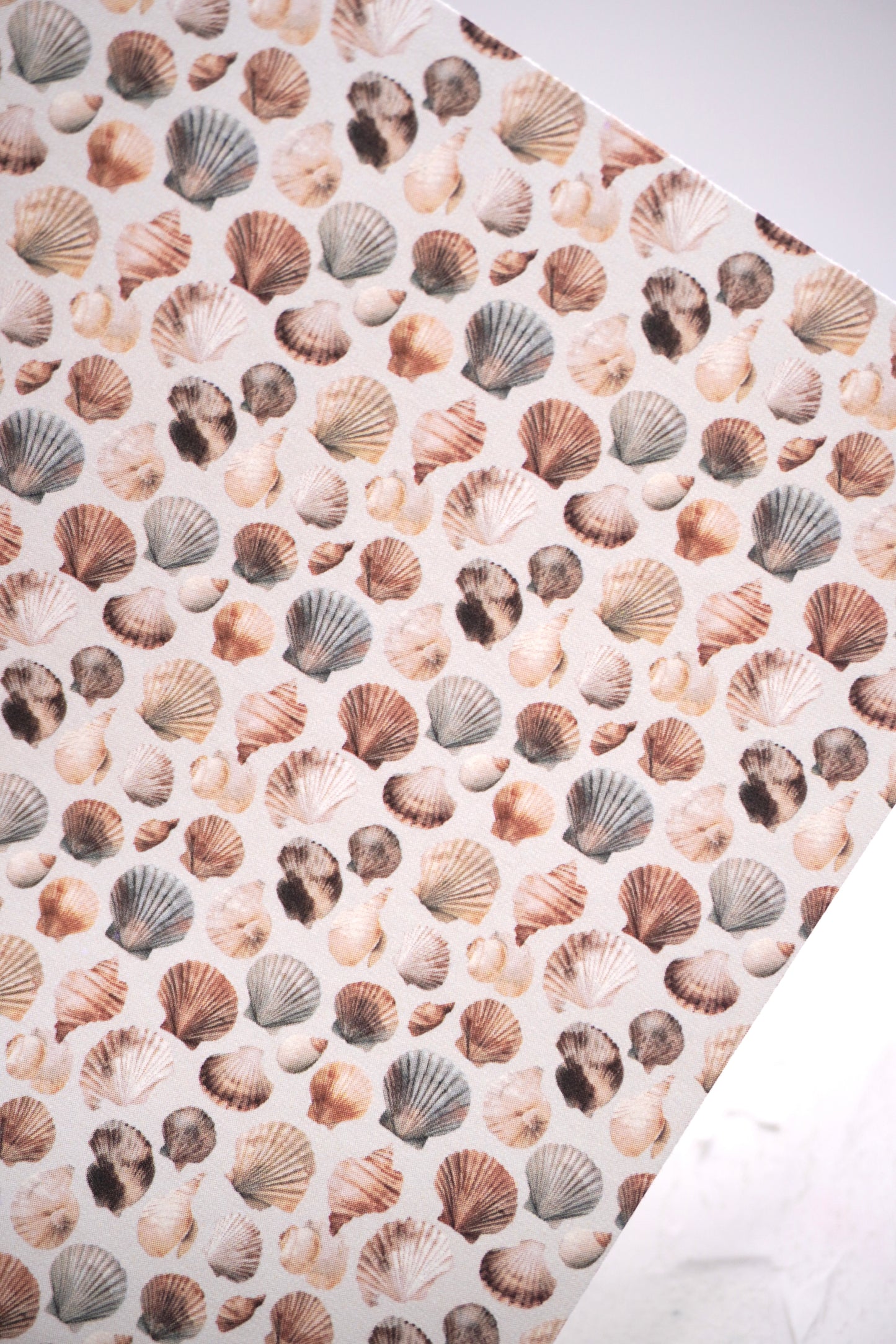 Shells 10