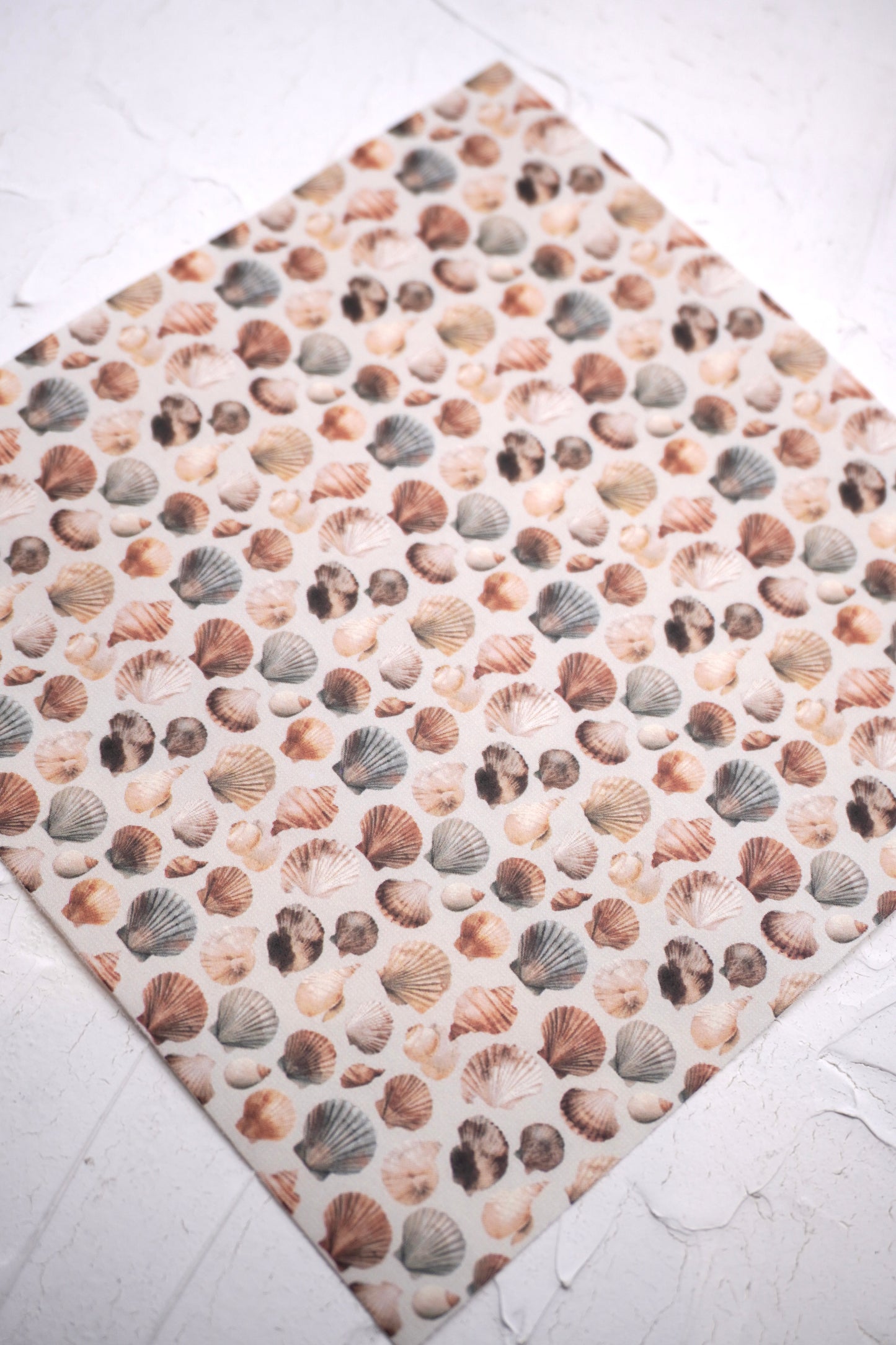 Shells 10