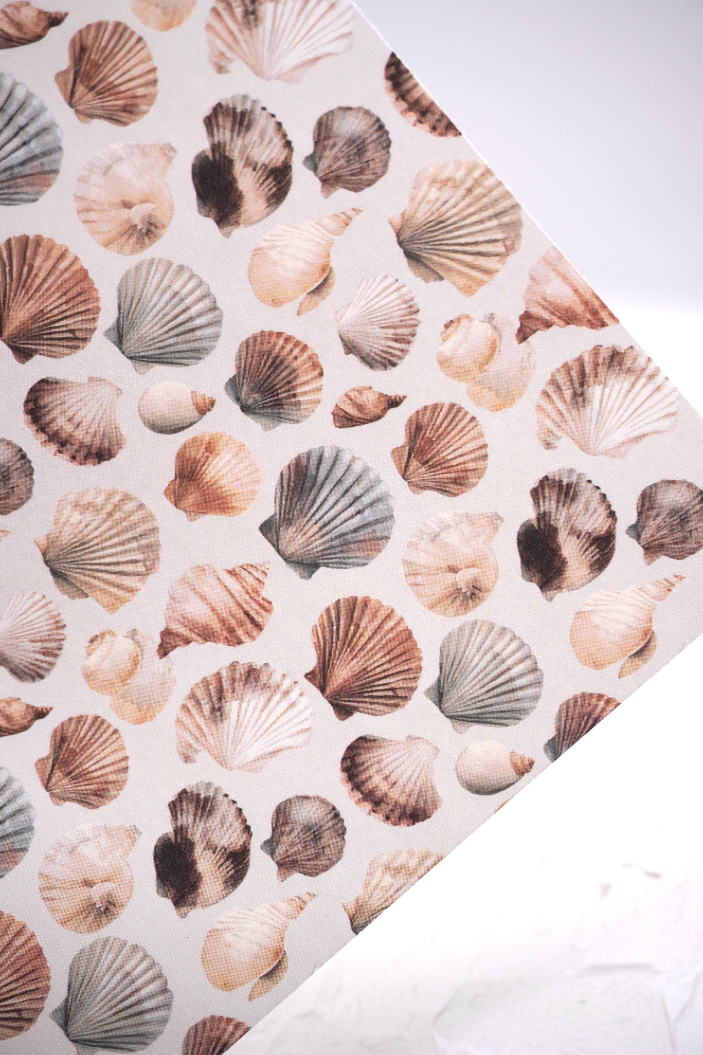 Shells 15