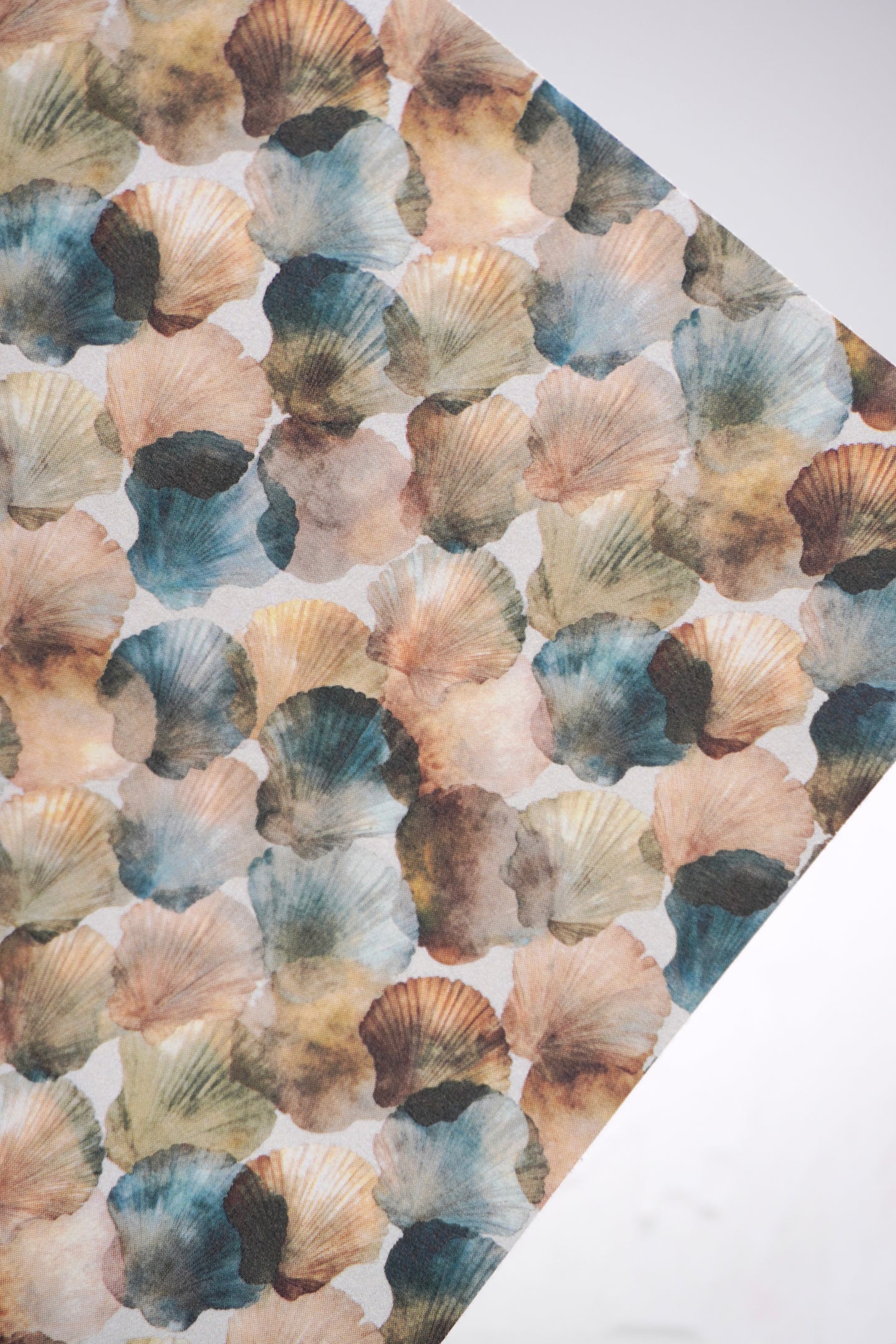 Shells 14