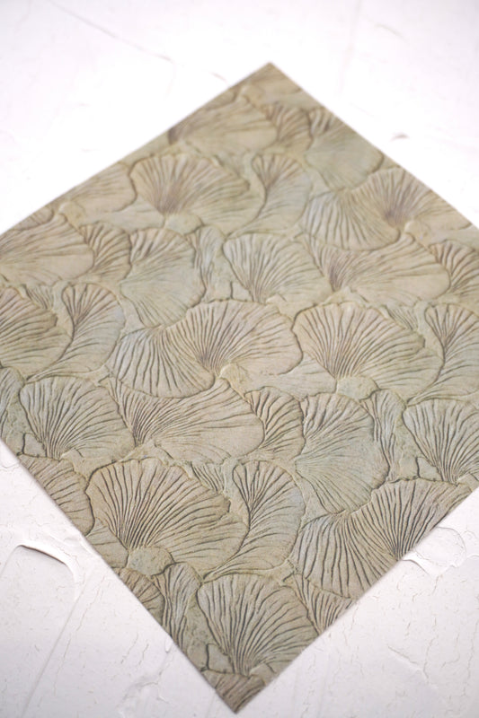 Shells texture