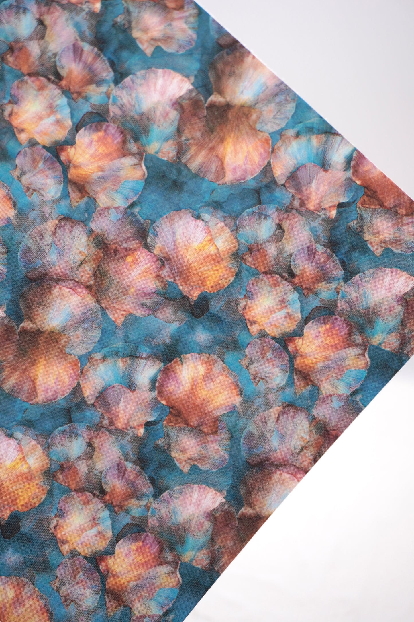 Shells 11