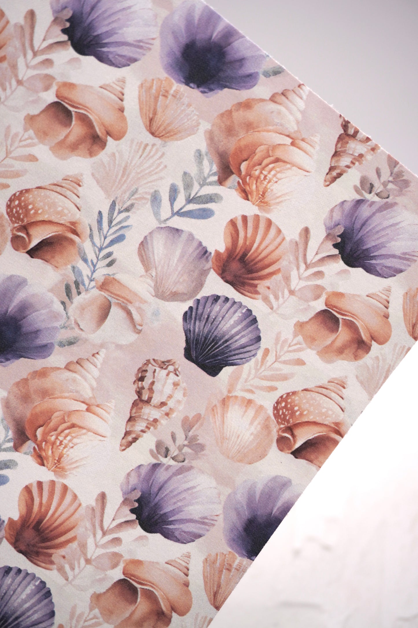 Shells 13