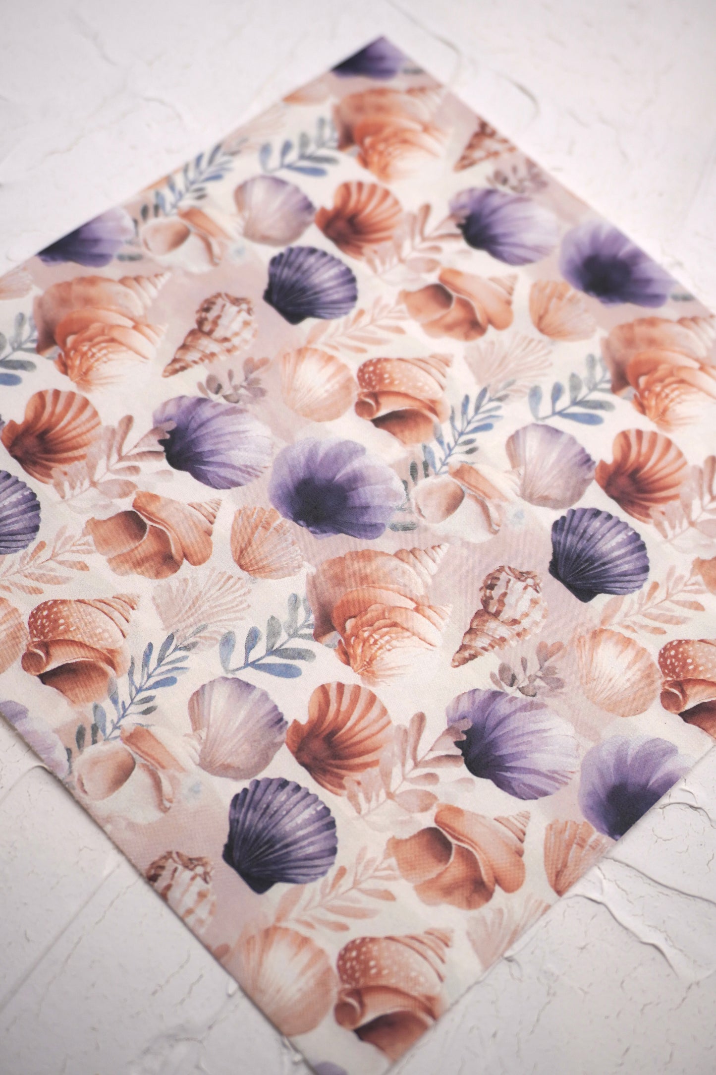 Shells 13