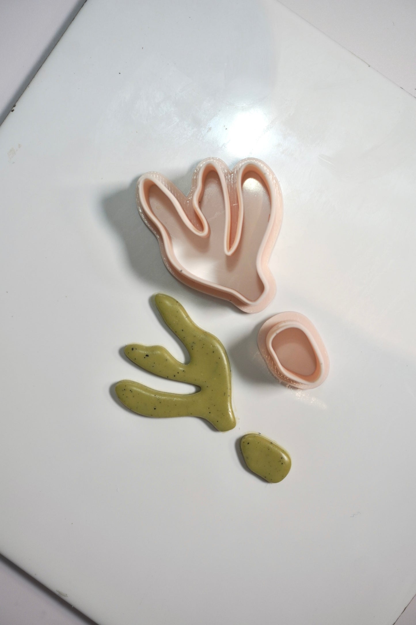 Organic Plant 3