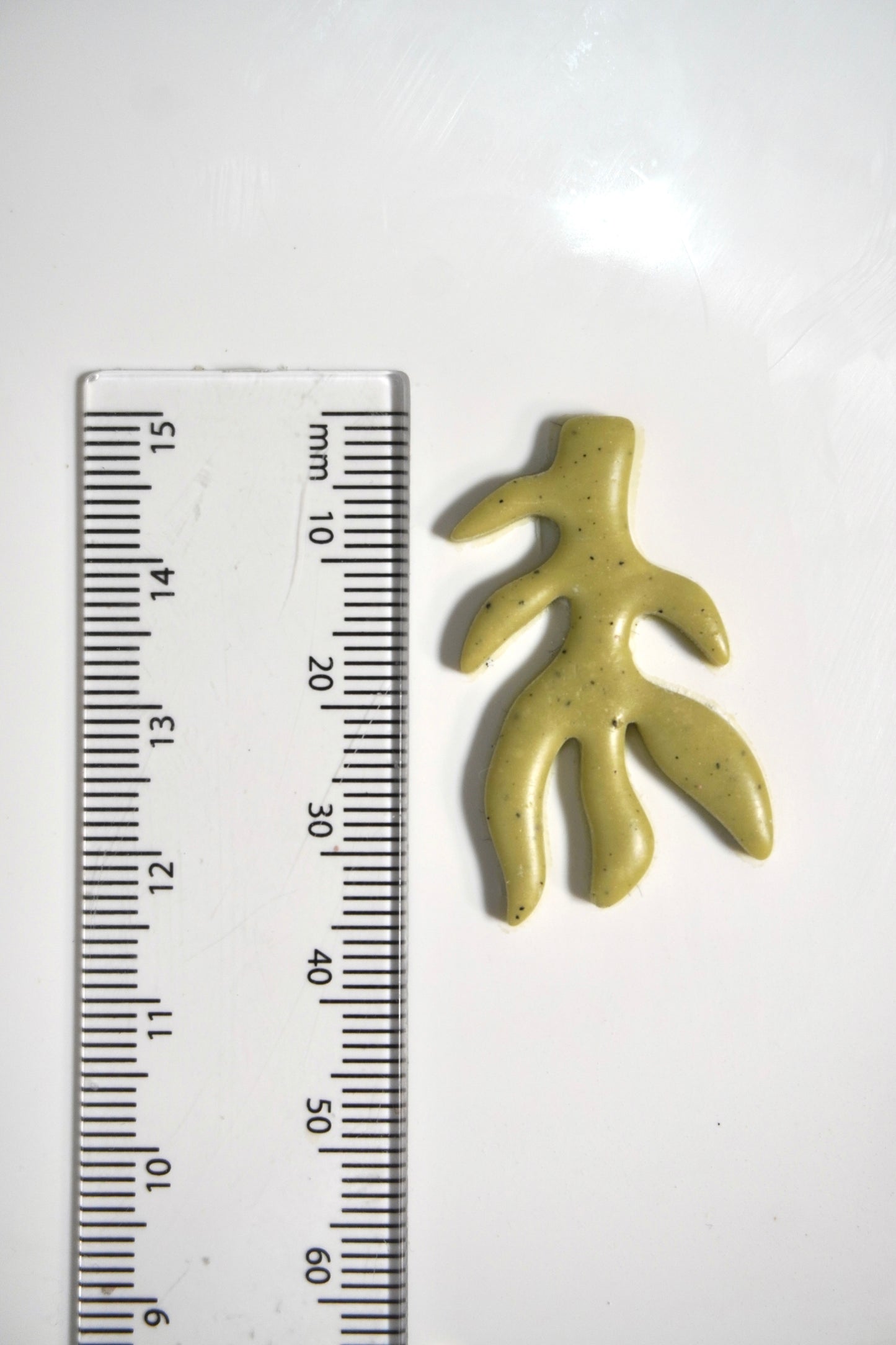 Organic Plant 6