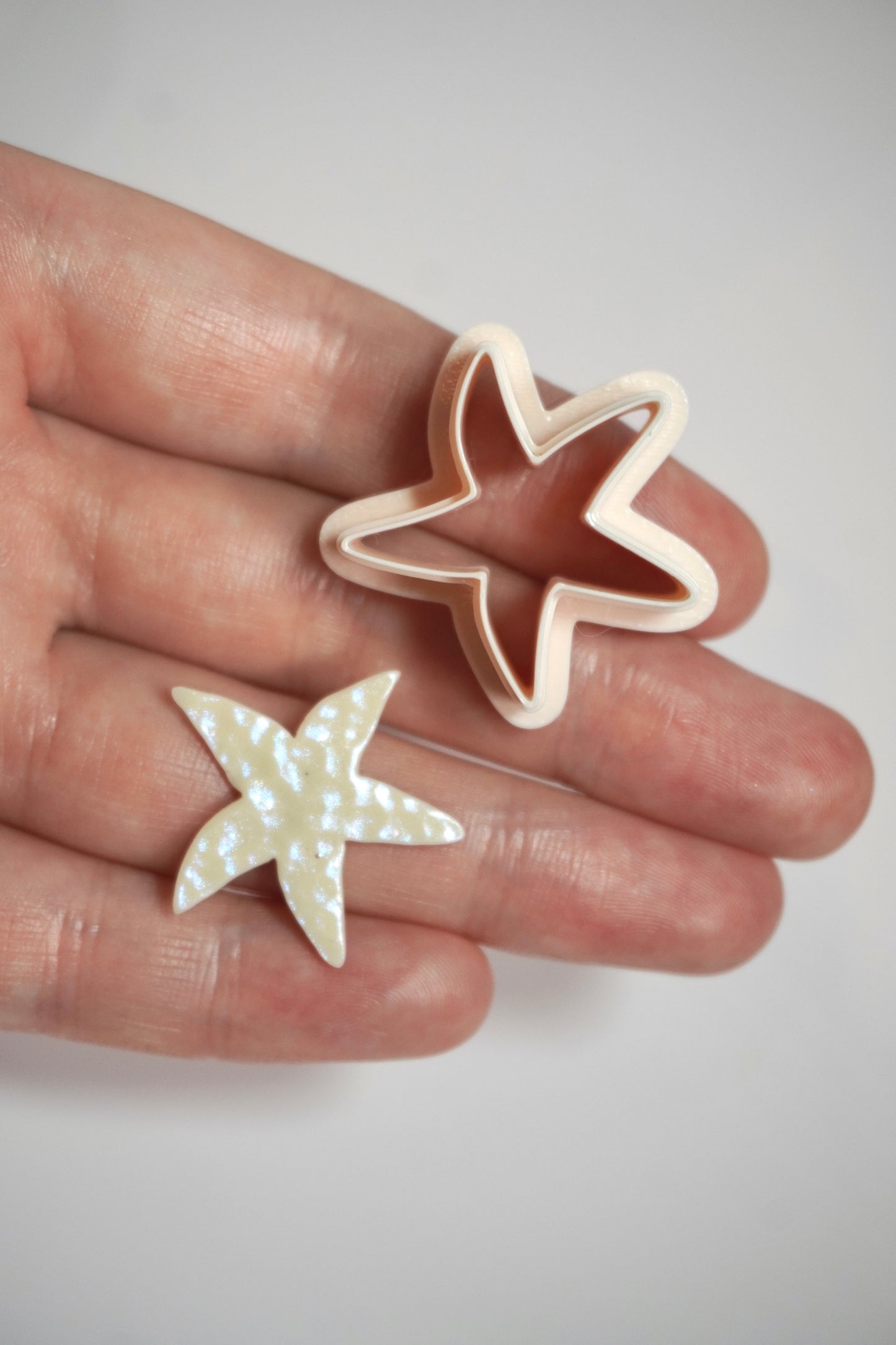 Starfish Organic 2