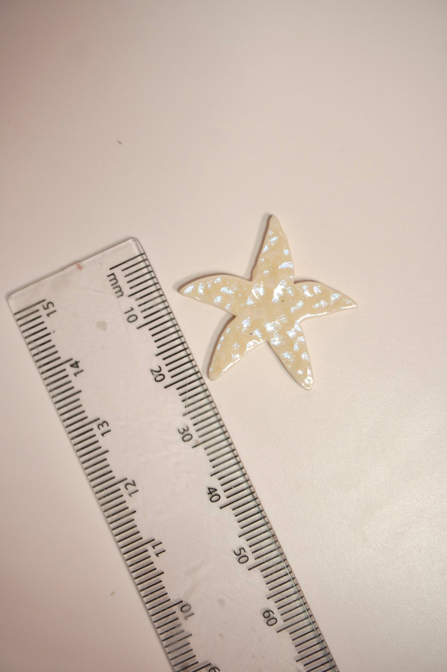 Starfish Organic 2