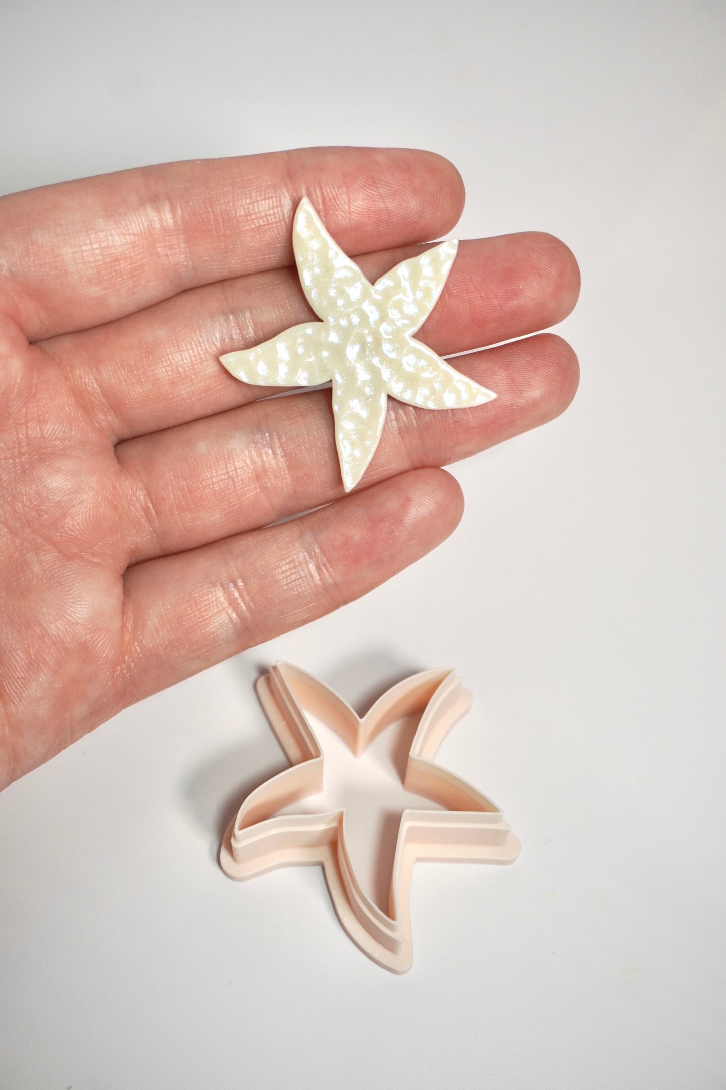 Starfish Organic 3 (larger style)