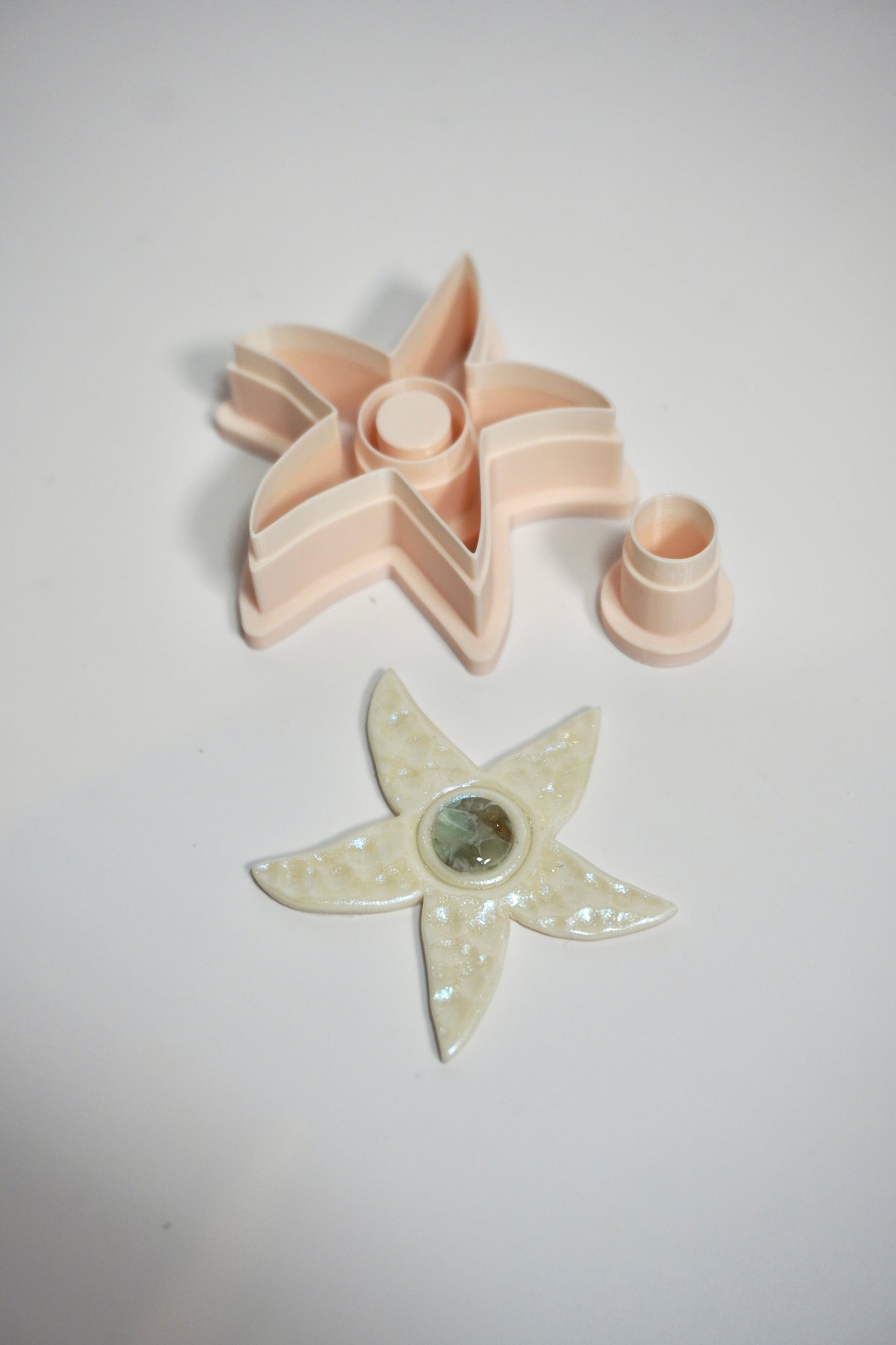 Starfish Organic 4 (bezel style)
