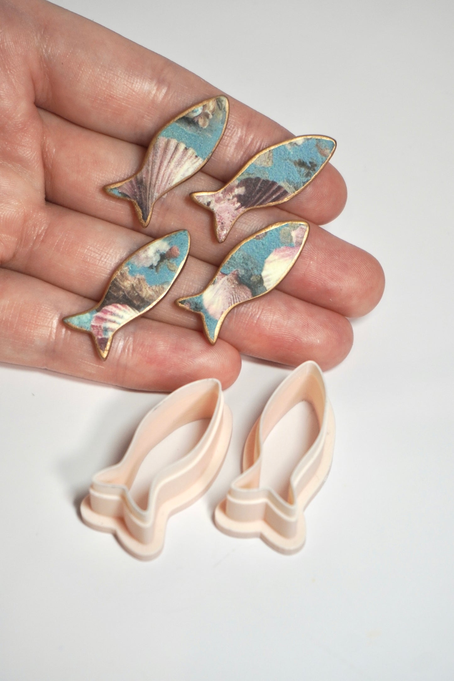 Organic small fish 2