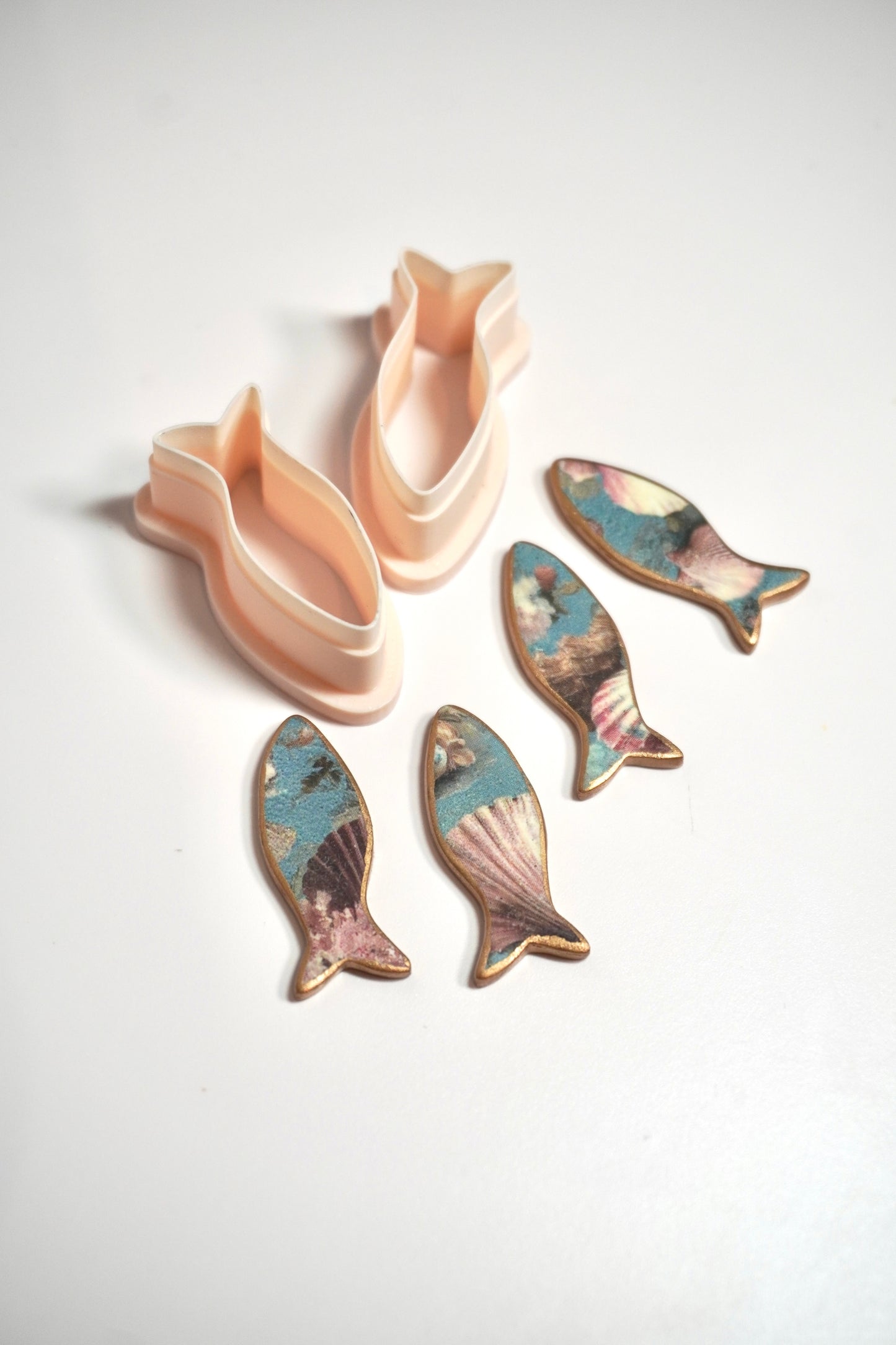 Organic small fish 2