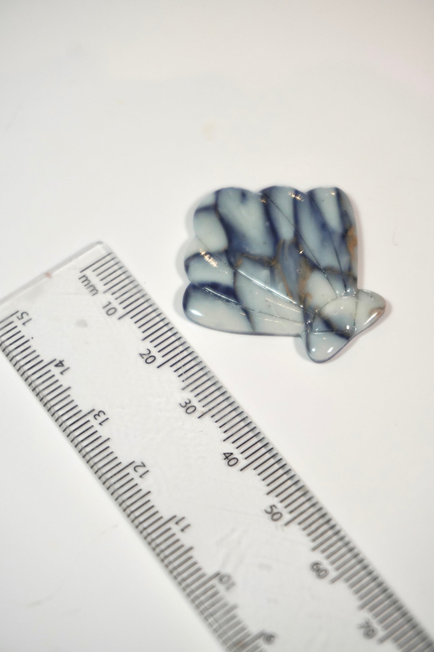 Shell 1