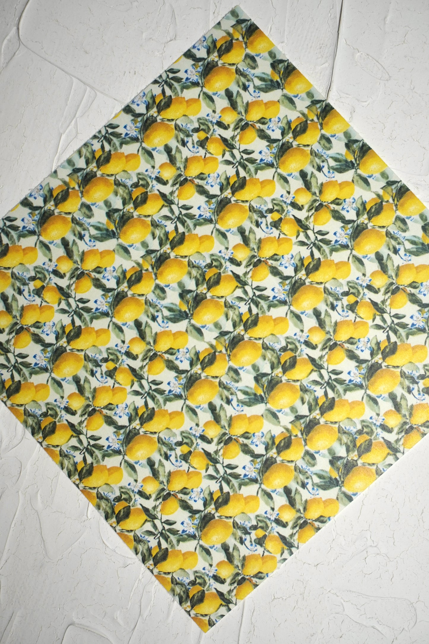 Lemon 4