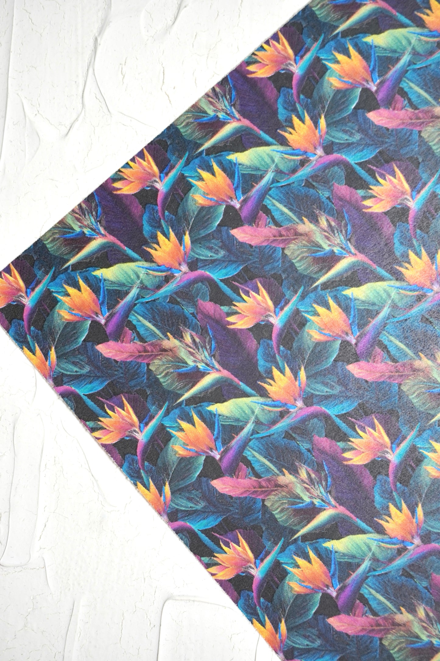 Bird of Paradise small