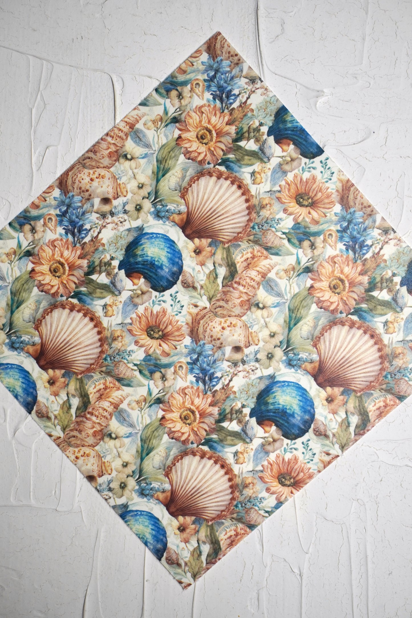 Vintage shells 10