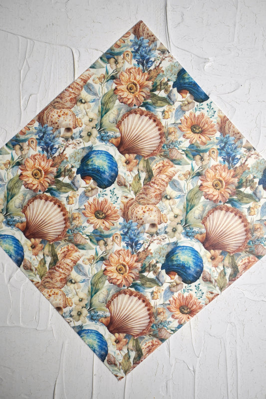 Vintage shells 10