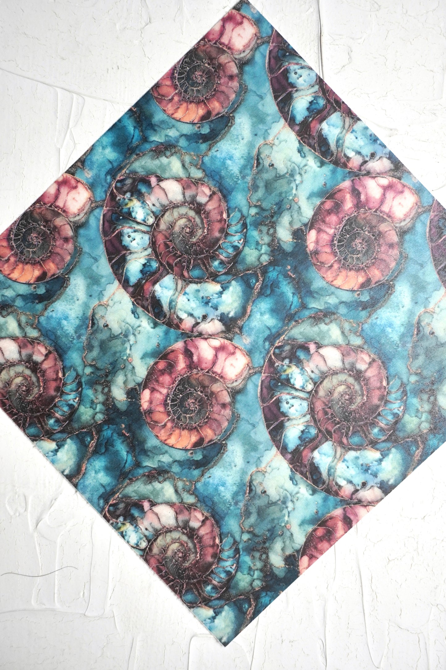 Ammonites 2
