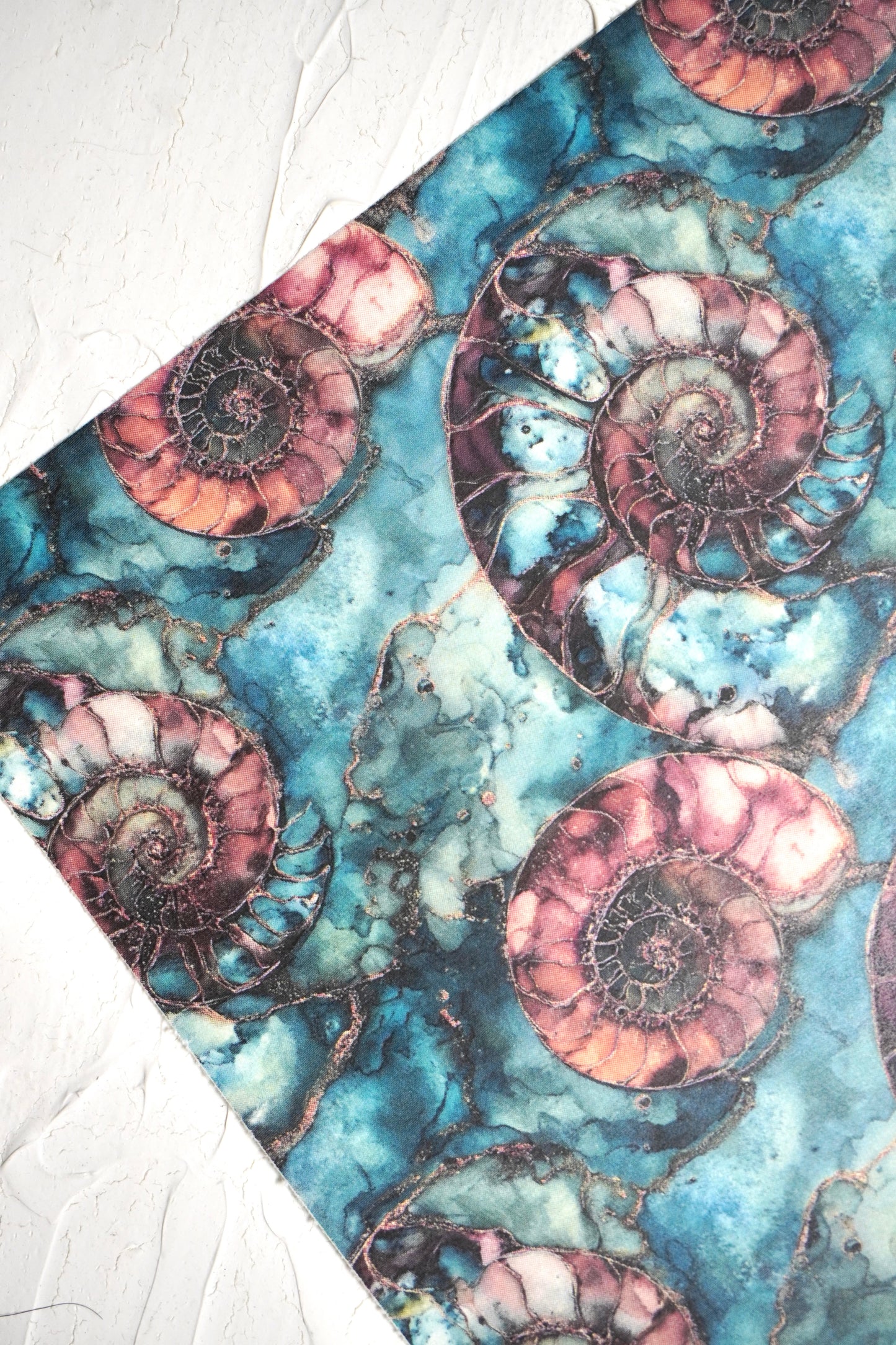 Ammonites 2